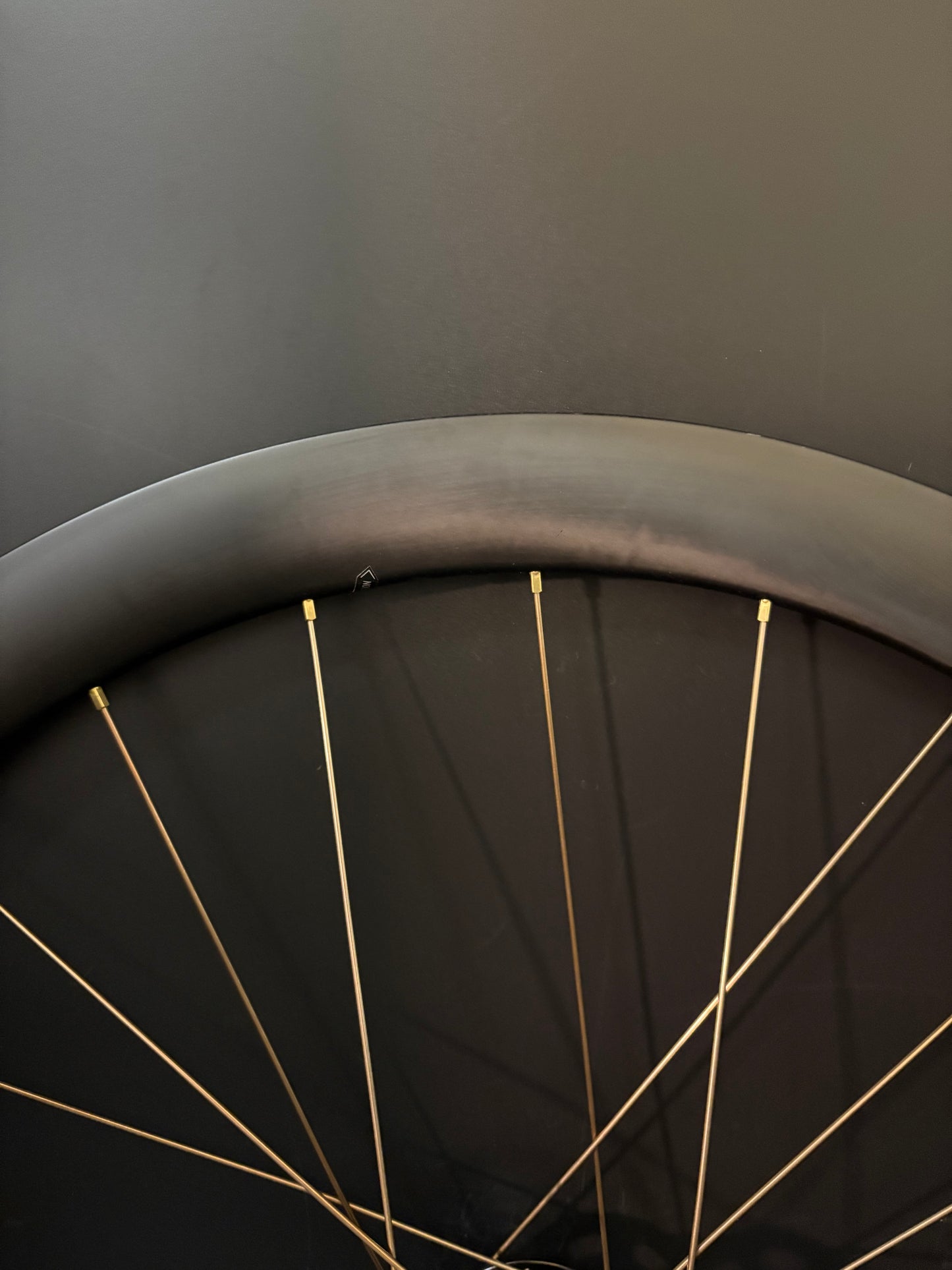 Light Bicycle Falcon Pro AR46 Carbon / Paul Hubs Black Wheelset 24h