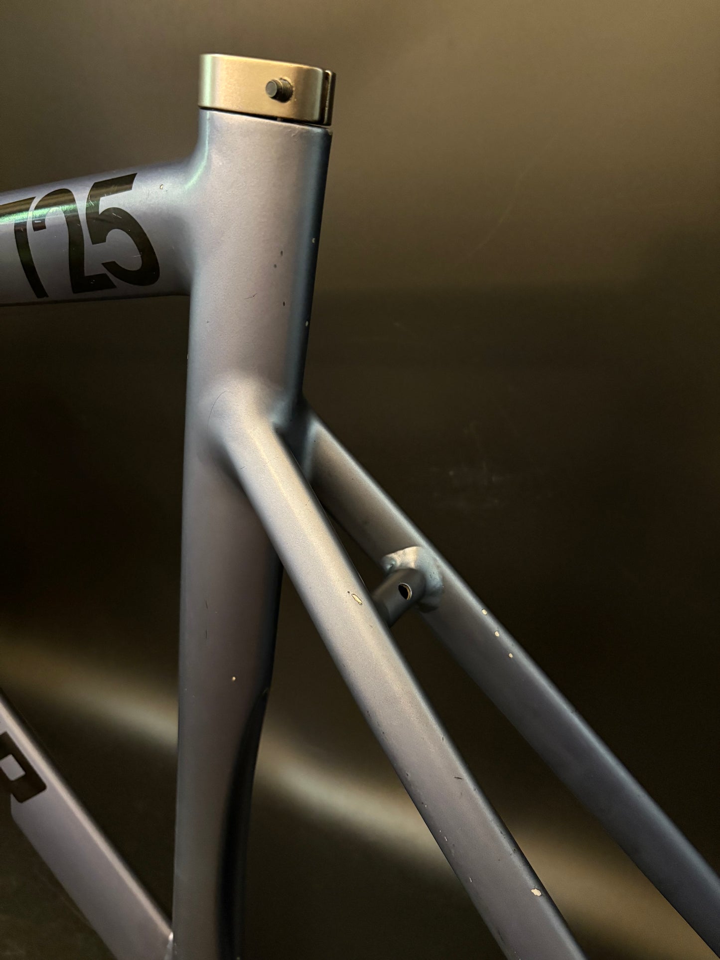 Leader 725 Frameset Pearlescent Blue 55cm