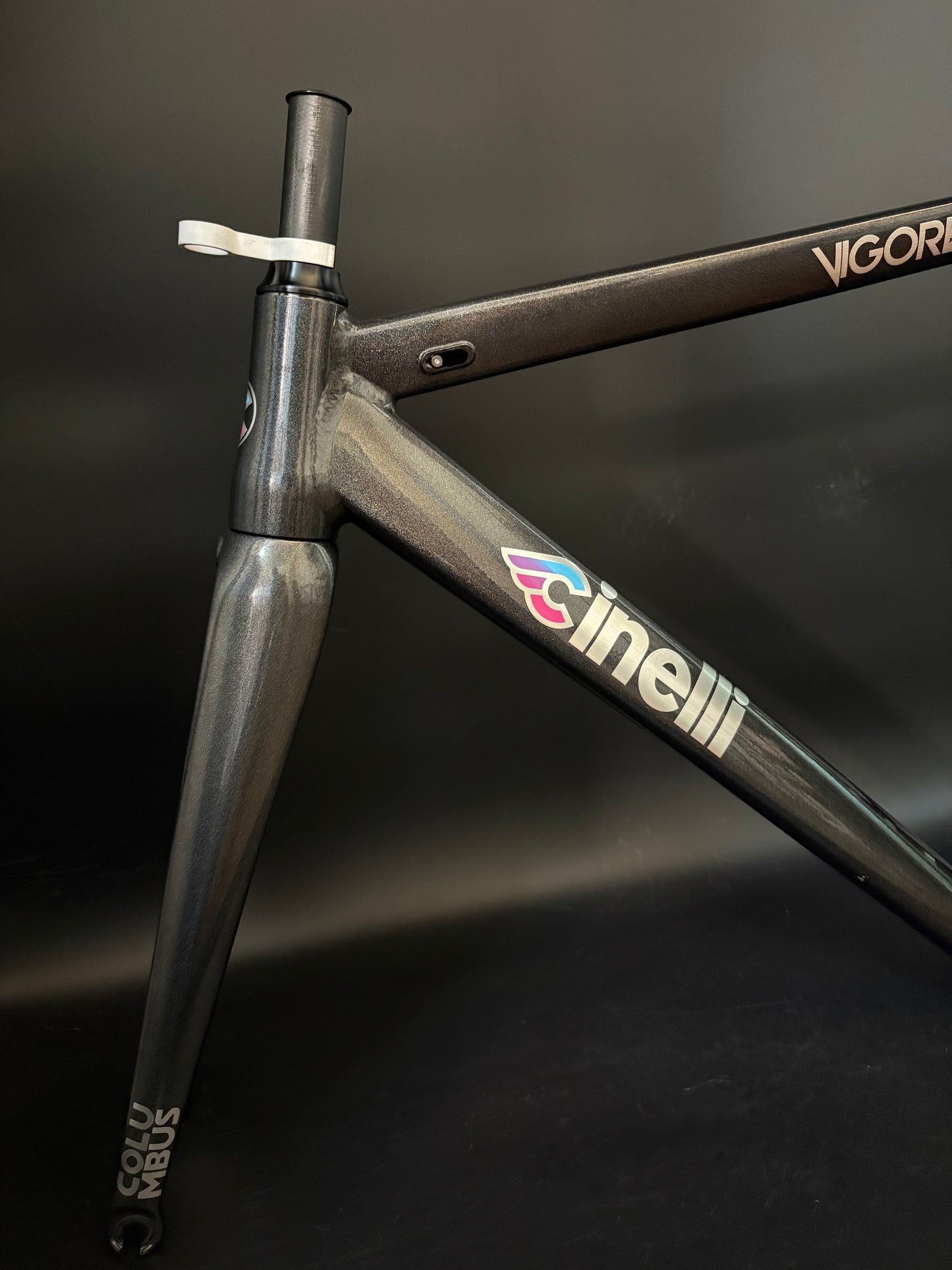 Cinelli Vigorelli 2024 Frameset Rainbow Small 55cm