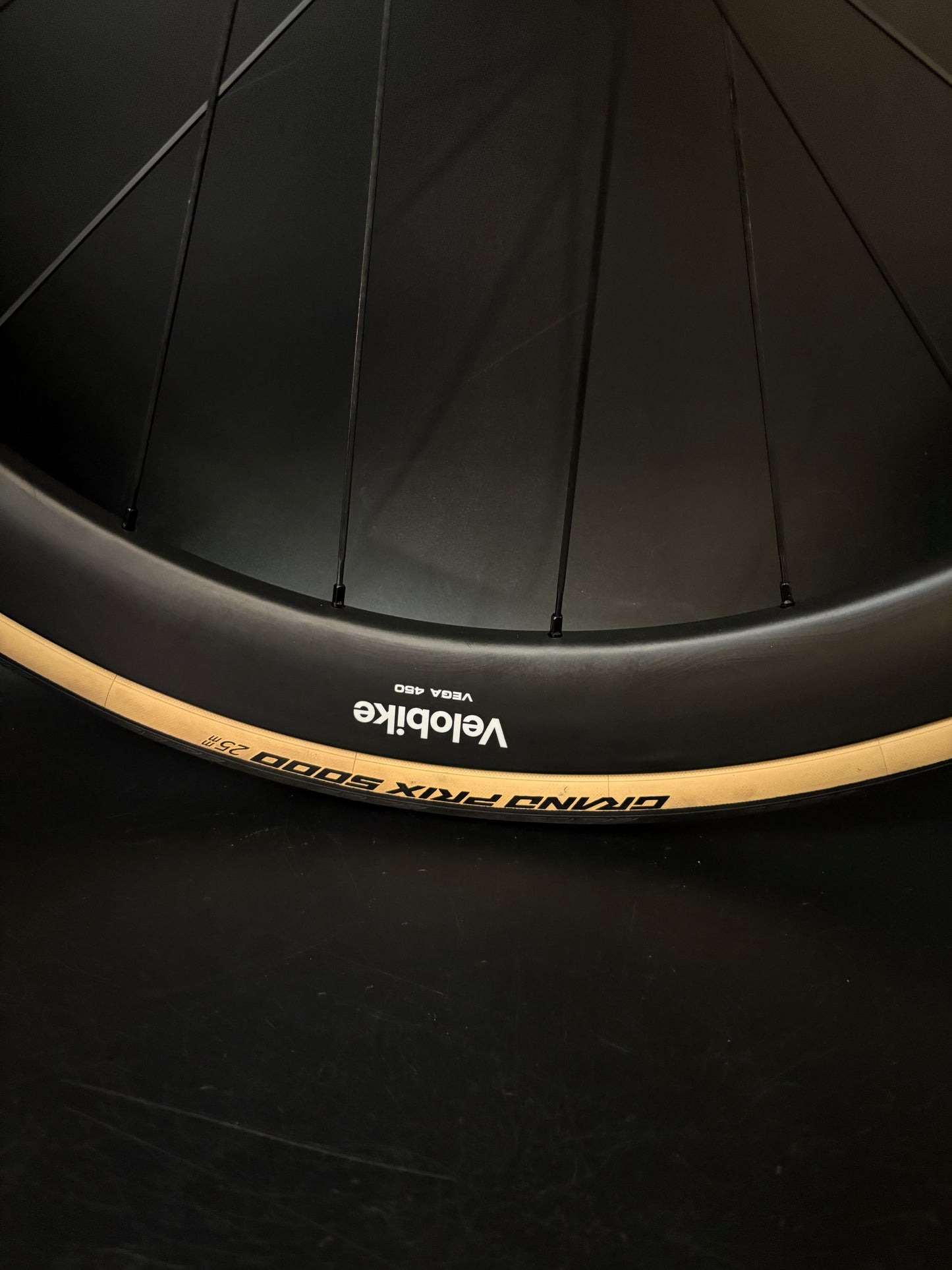Velobike Vegast 450 Carbon Clincher / DT Swiss Wheelset 20/24h