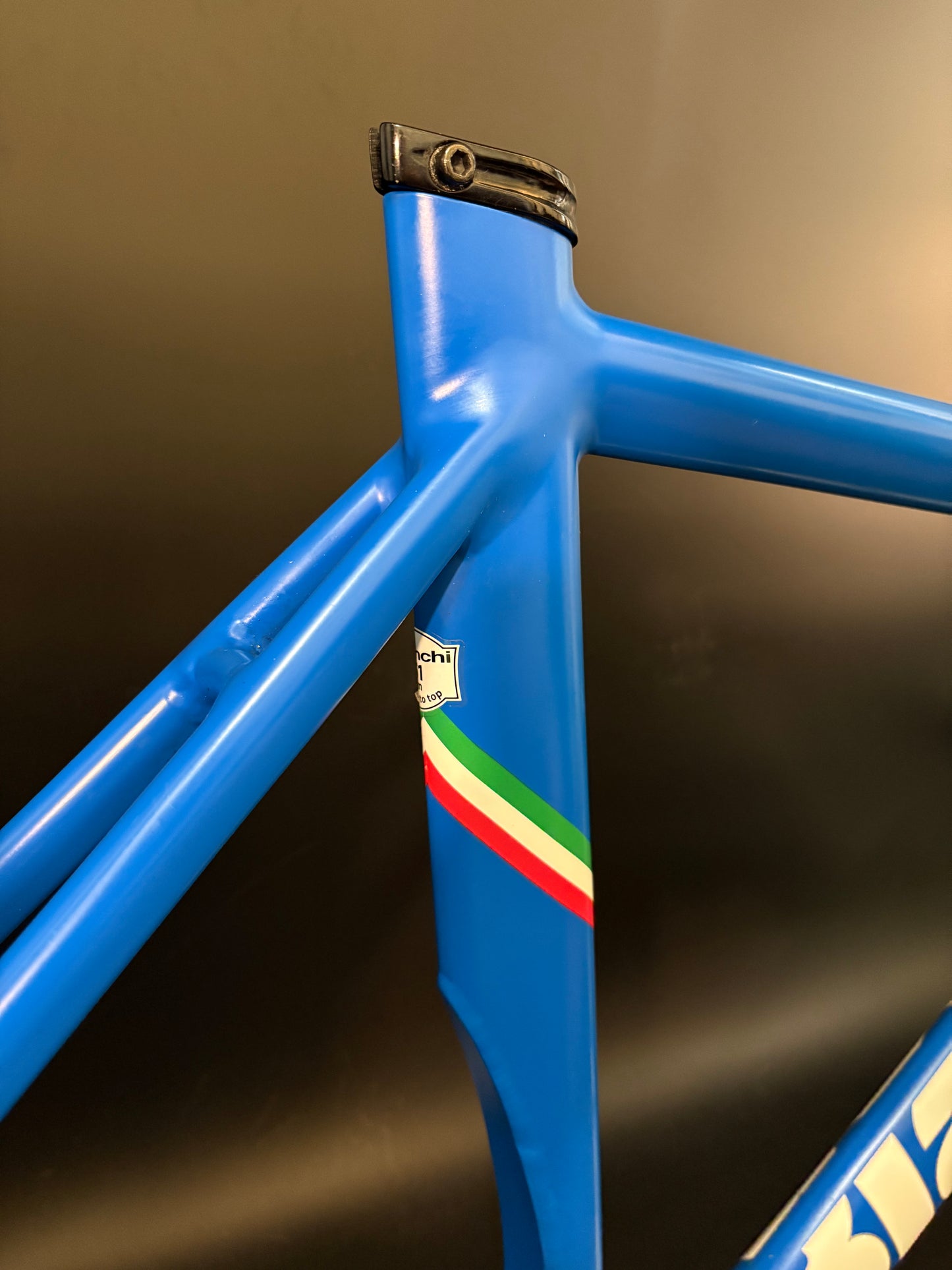 Bianchi Super Pista Frameset Blue 51cm