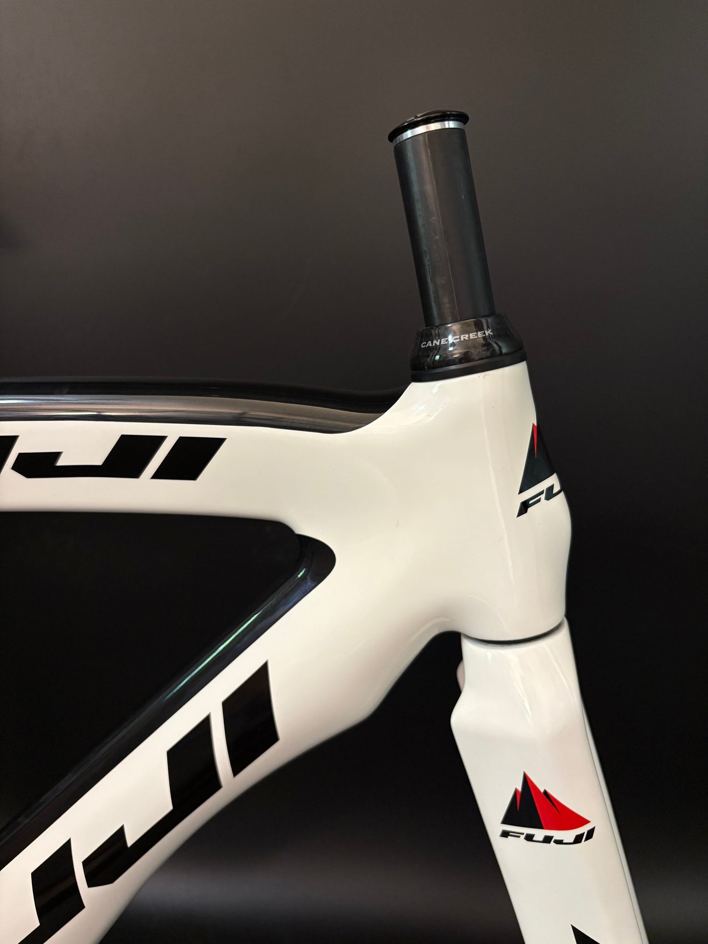 Fuji Track Elite Carbon Frameset White XS