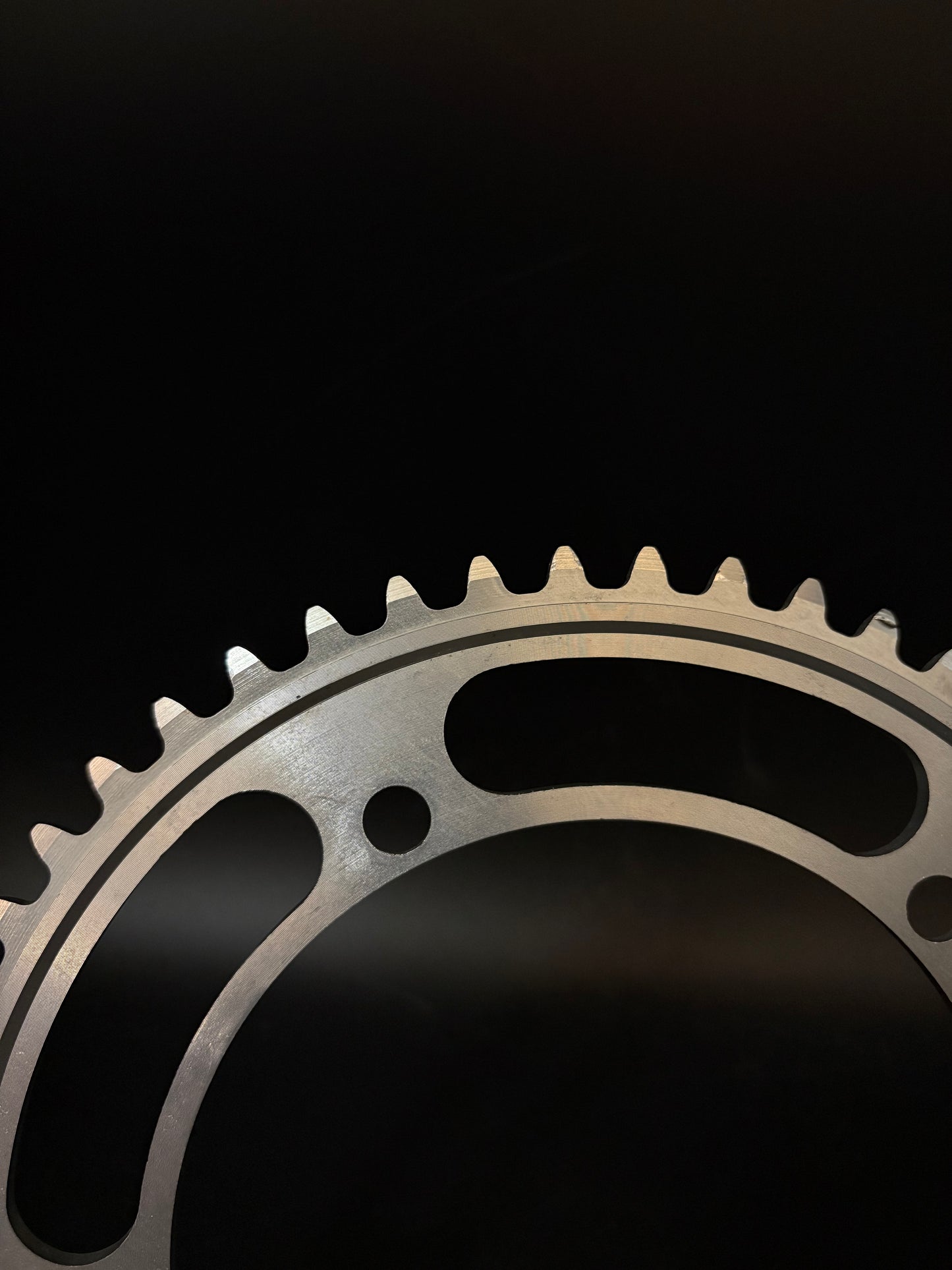Suntour Superbe Chainring Silver NJS 51t