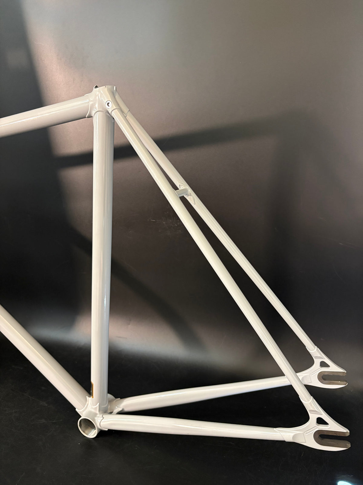 Panasonic NJS Frameset Grey 54cm