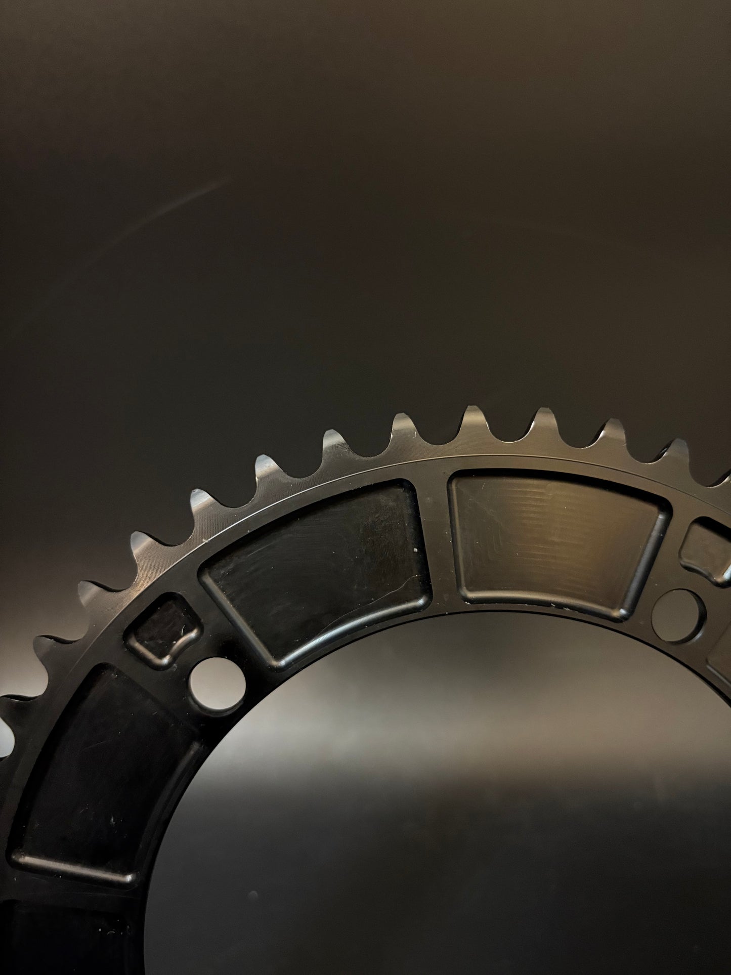 Rotor Track Chainring Black 49t