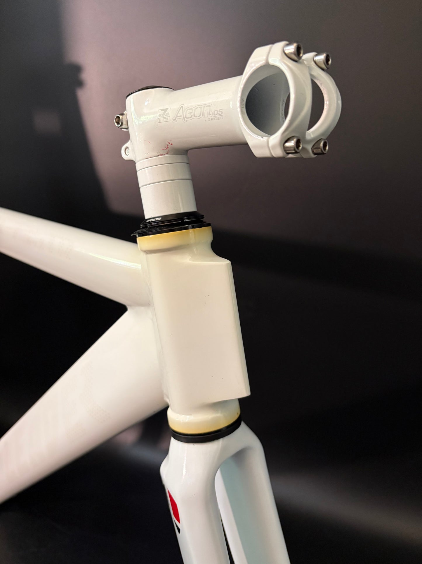 Leader 735TR Frameset White 56cm