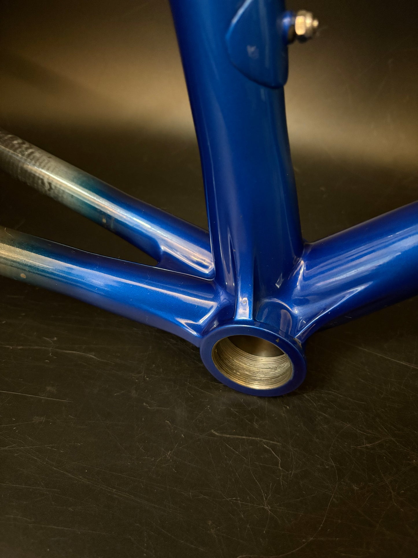 Calfee Pista Roya Carbon Frameset Blue 56cm