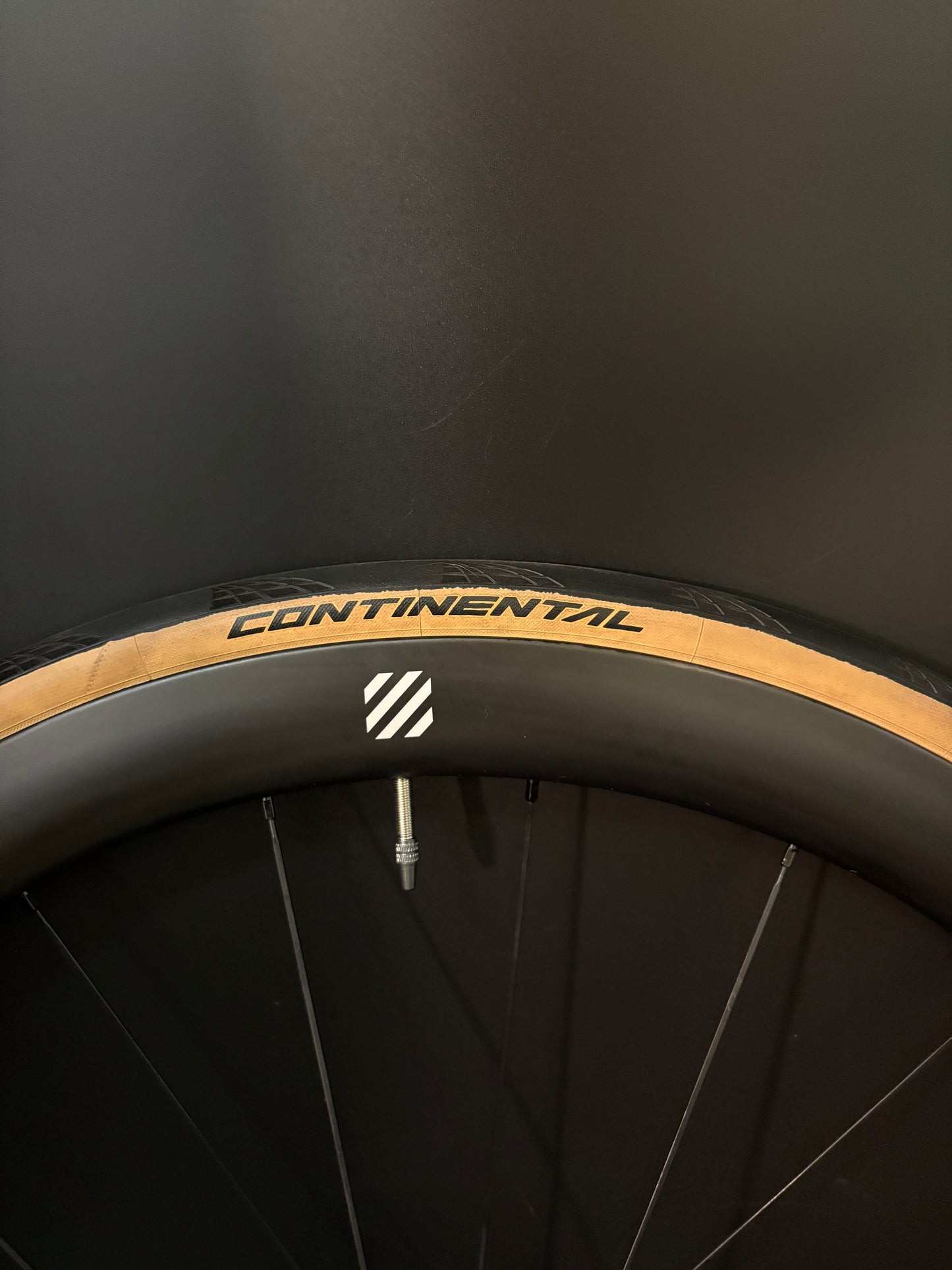 Velobike Vegast 450 Carbon Clincher / DT Swiss Wheelset 20/24h