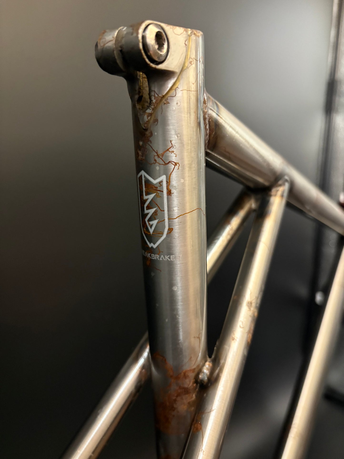 Breakbrake 17 Trasfer Frameset Raw 54cm