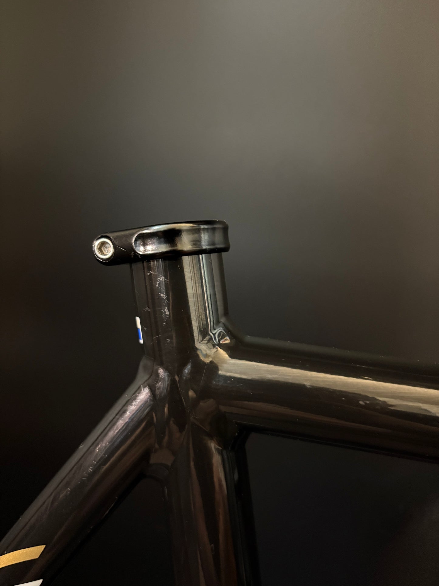 Look ALP 464 Frameset Black Medium