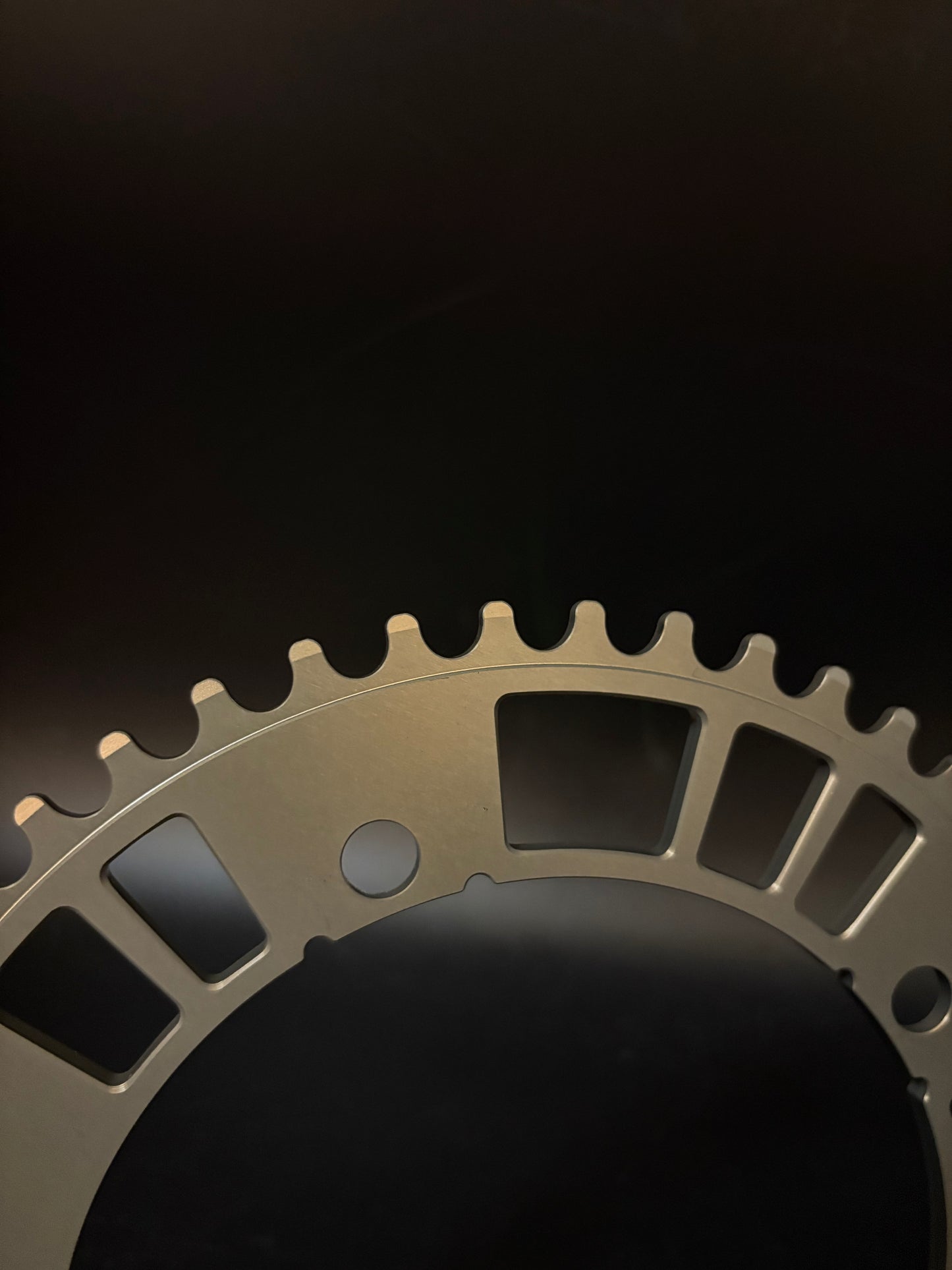 Aarn Pro Chainring 49t