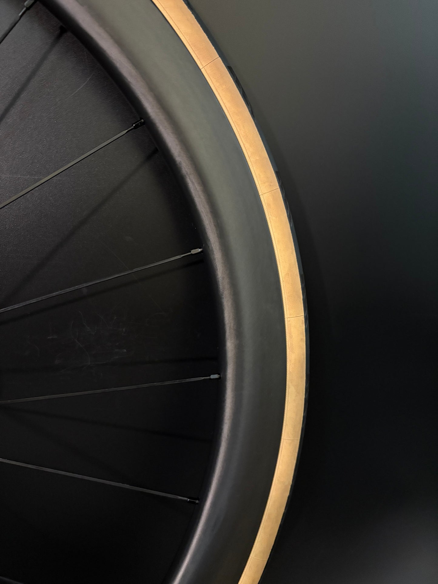 Velobike Vegast 450 Carbon Clincher / DT Swiss Wheelset 20/24h