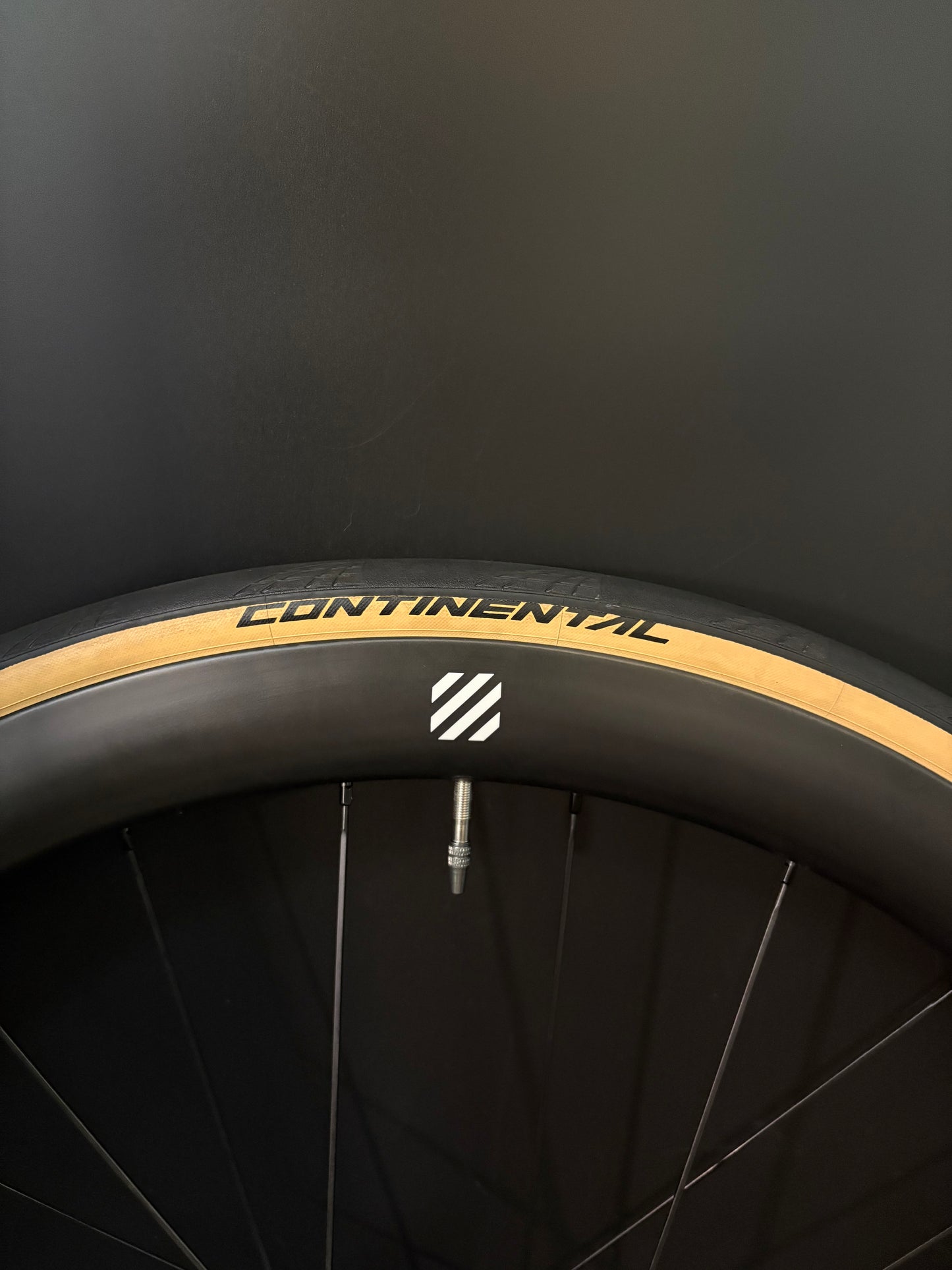 Velobike Vegast 450 Carbon Clincher / DT Swiss Wheelset 20/24h