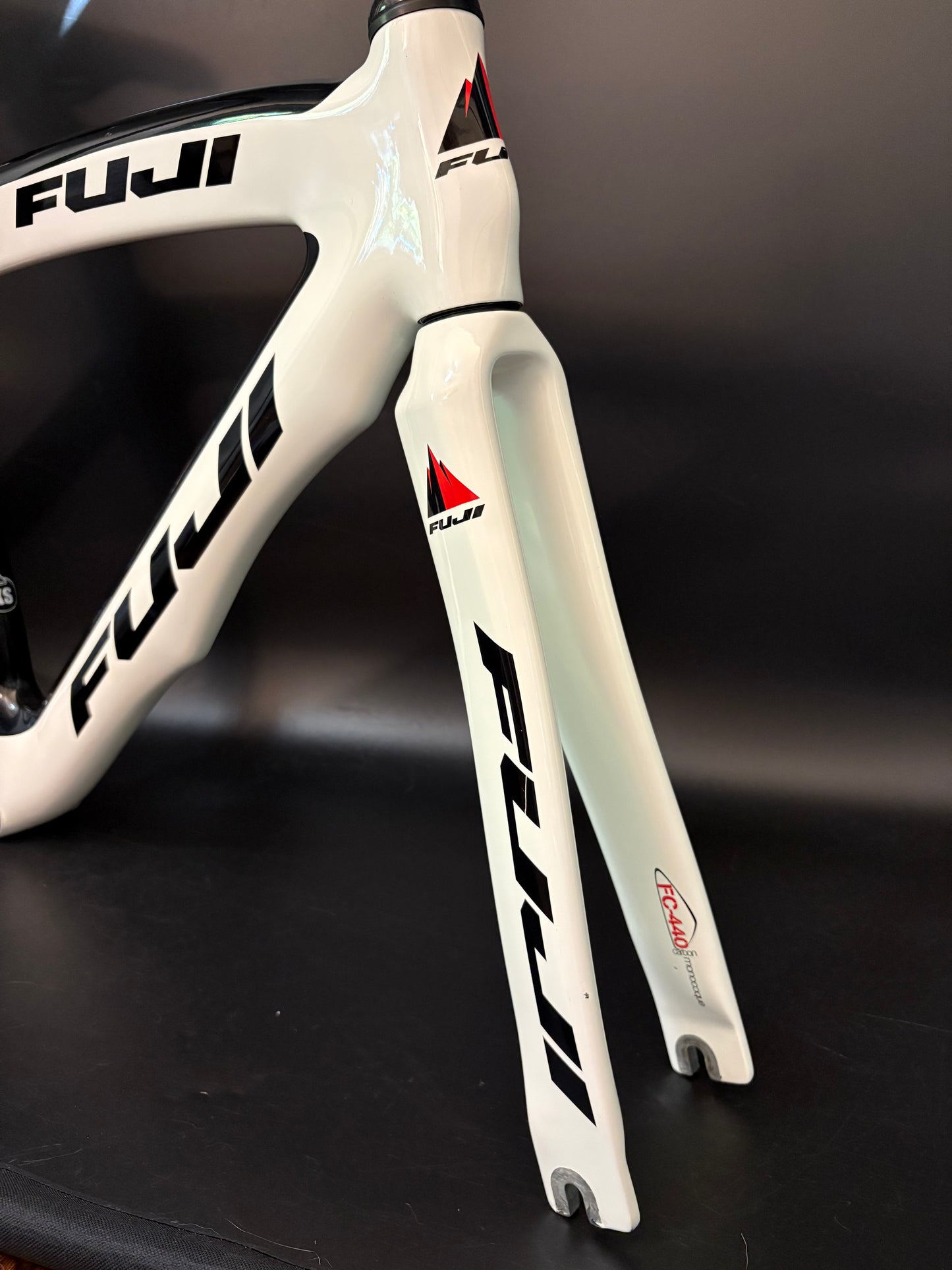 Fuji Track Elite Carbon Frameset White XS