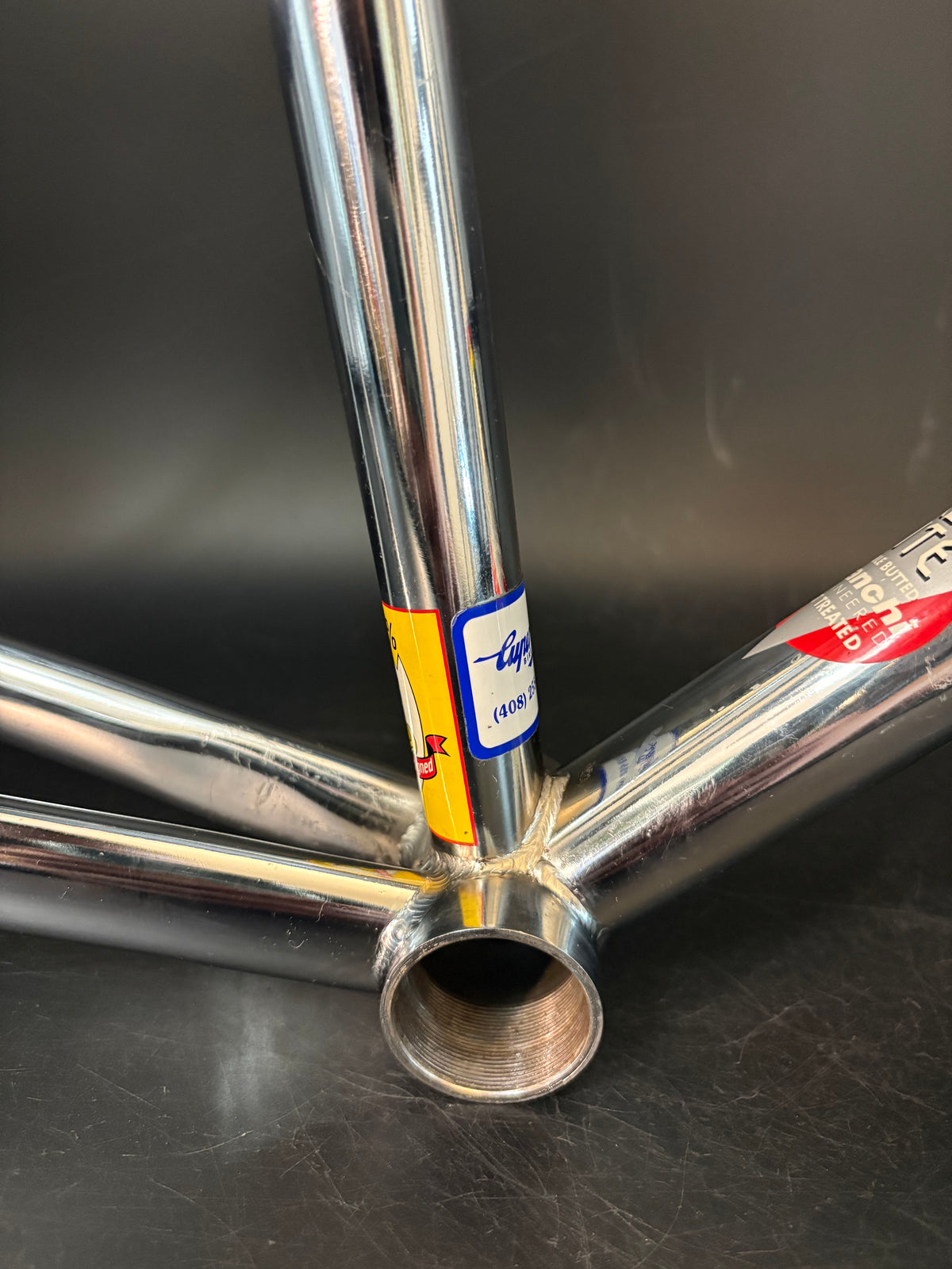Bianchi Pista Frameset Chrome 59cm