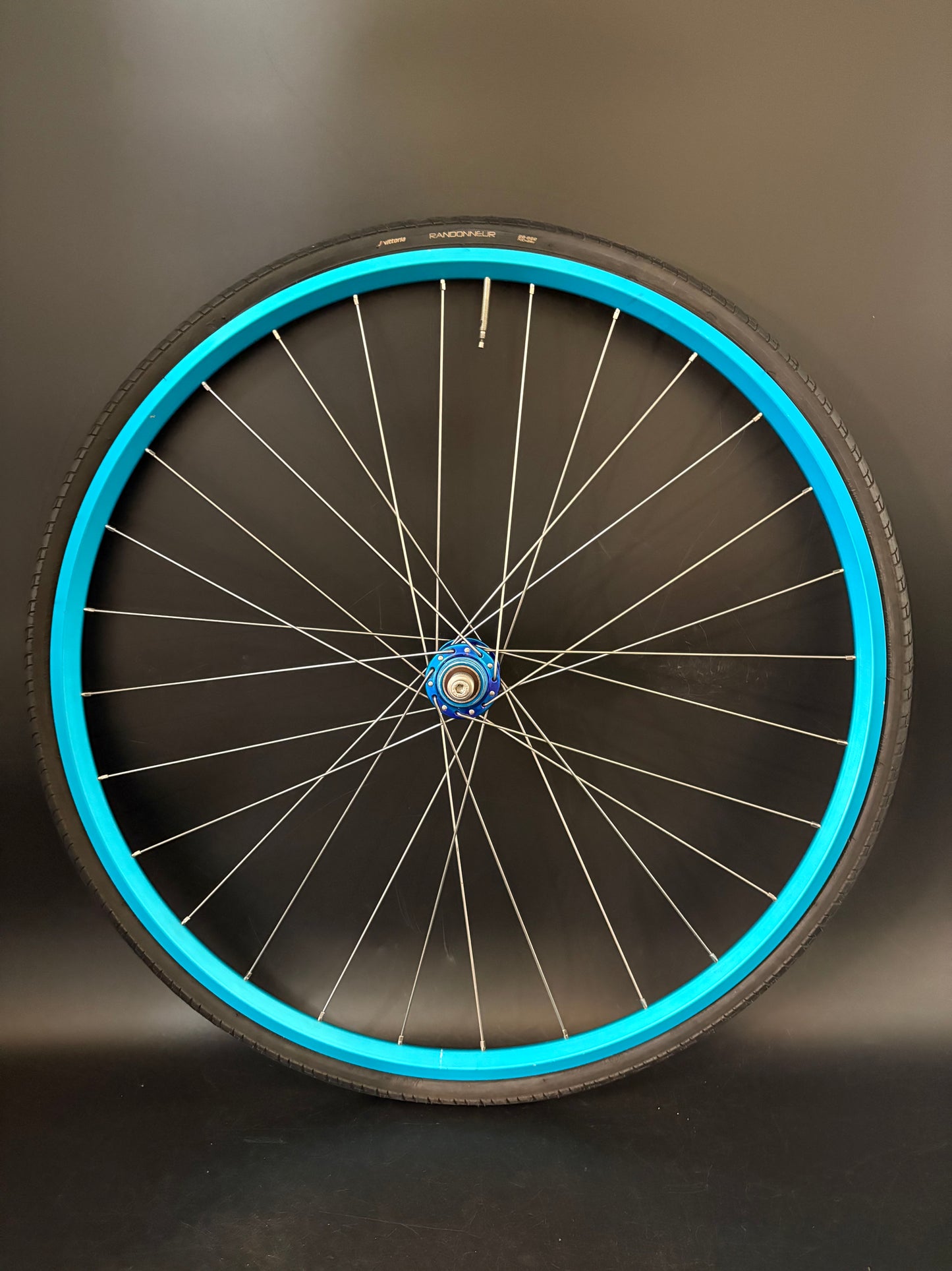 Velocity A23 Turquoise + Pink / Mash SF x Phil Wood Wheelset 28h