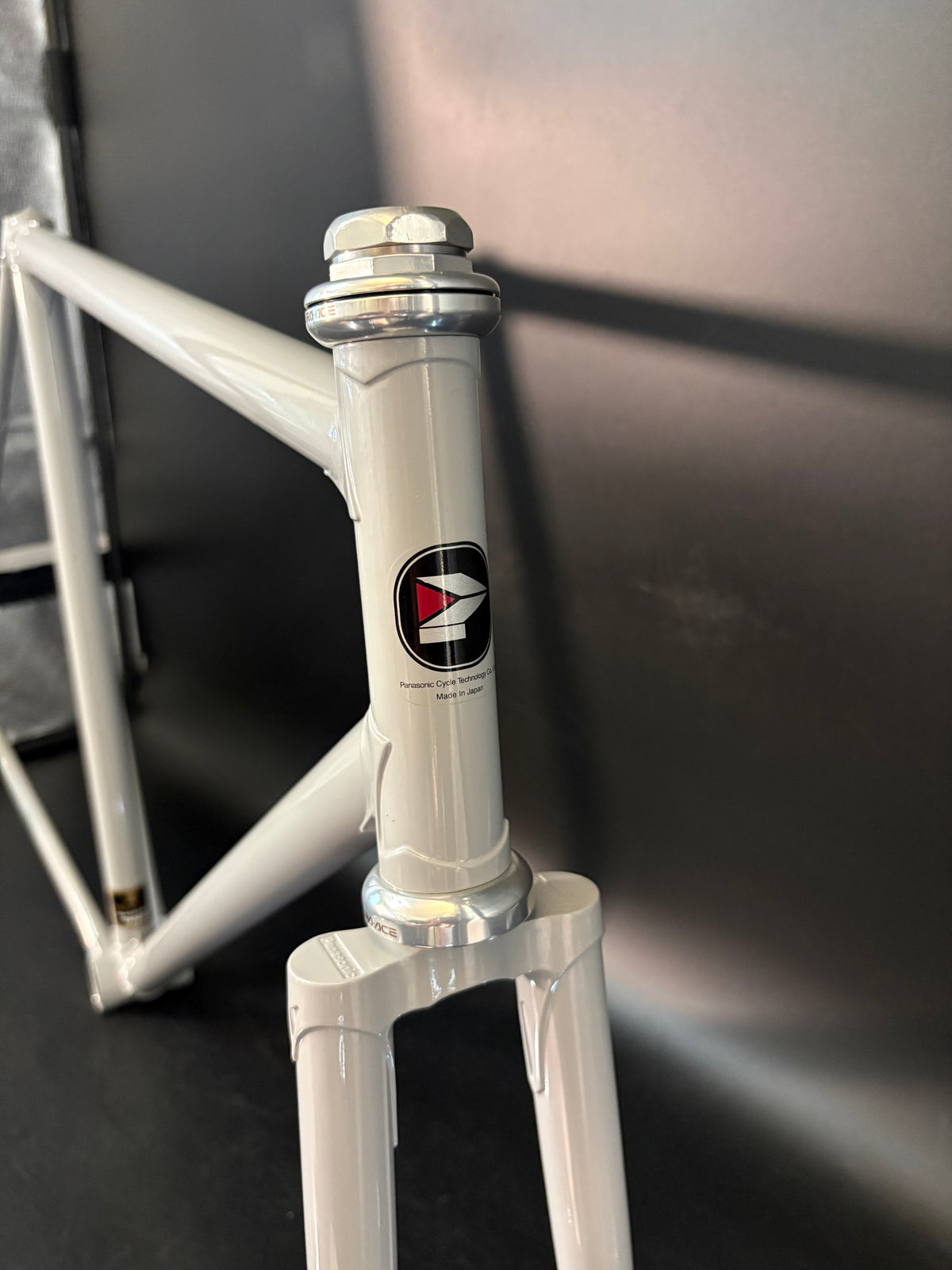 Panasonic NJS Frameset Grey 54cm