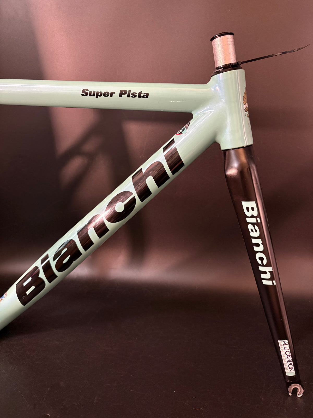 Bianchi Super Pista Frameset Celeste 51cm