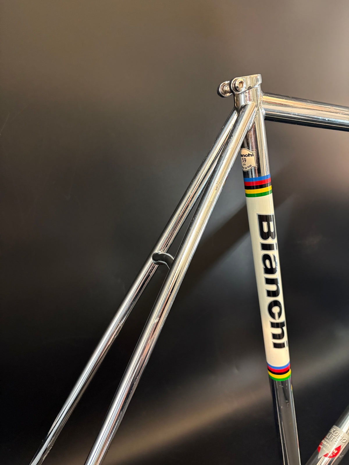 Bianchi Pista Frameset Chrome 59cm
