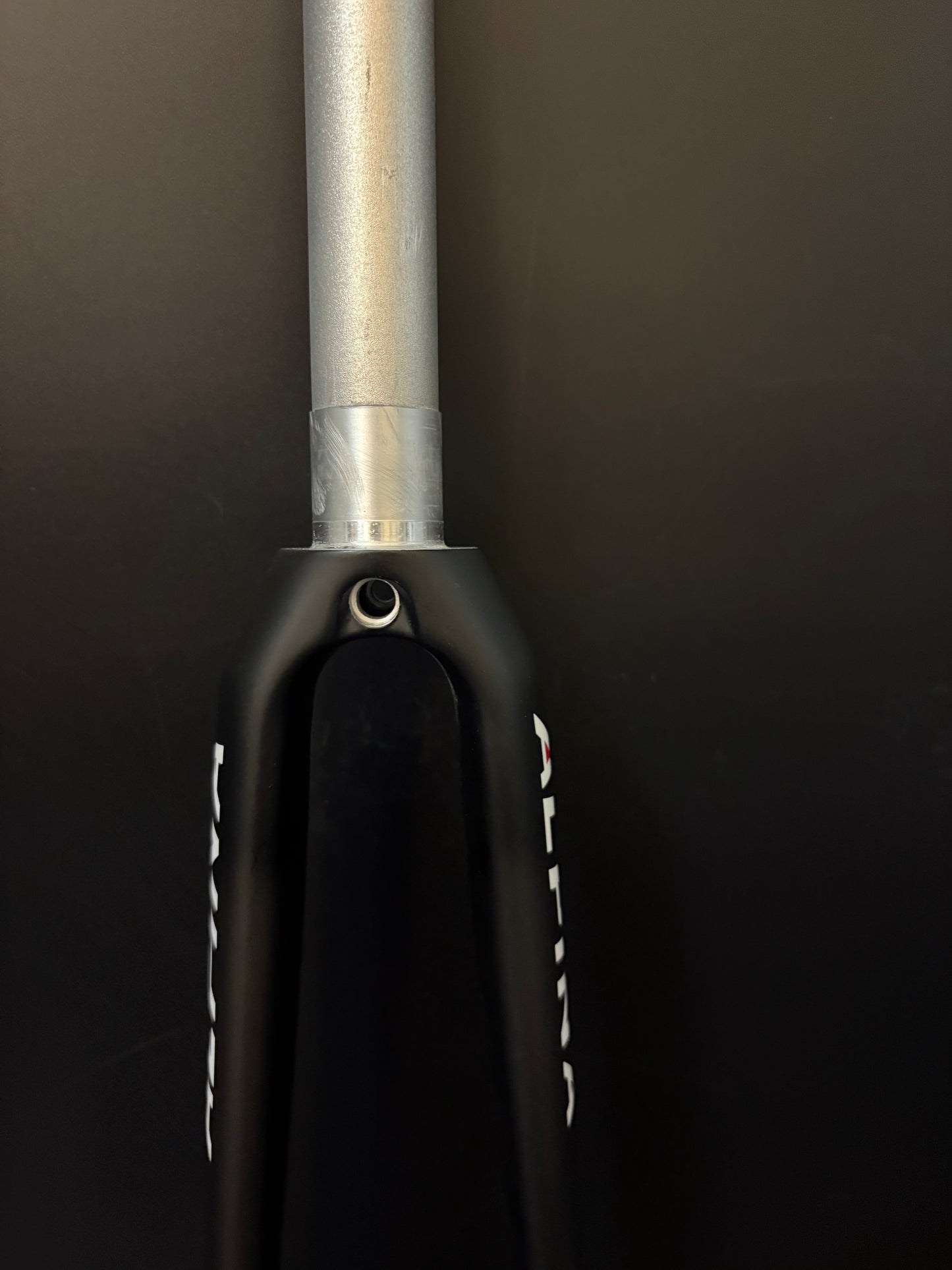 NEW Alpina Track Fork Carbon 1 1/8” 300mm