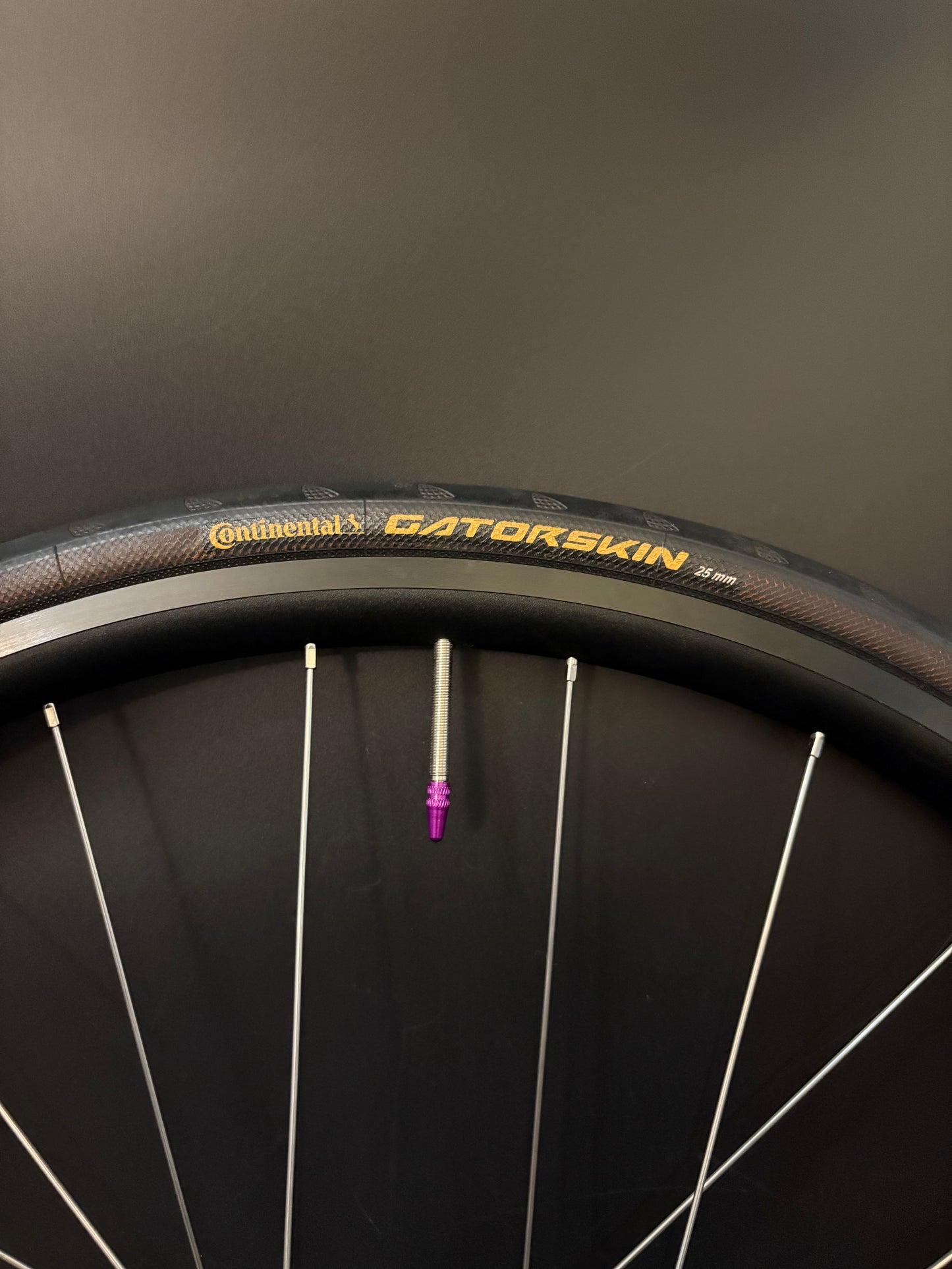 H Plus Son Archetype / DT Swiss Rear Wheel Black 24h