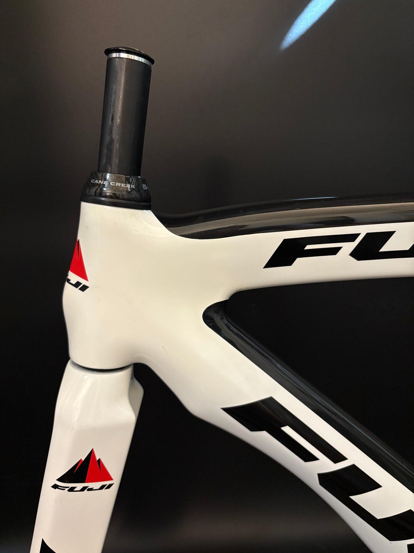 Fuji Track Elite Carbon Frameset White XS