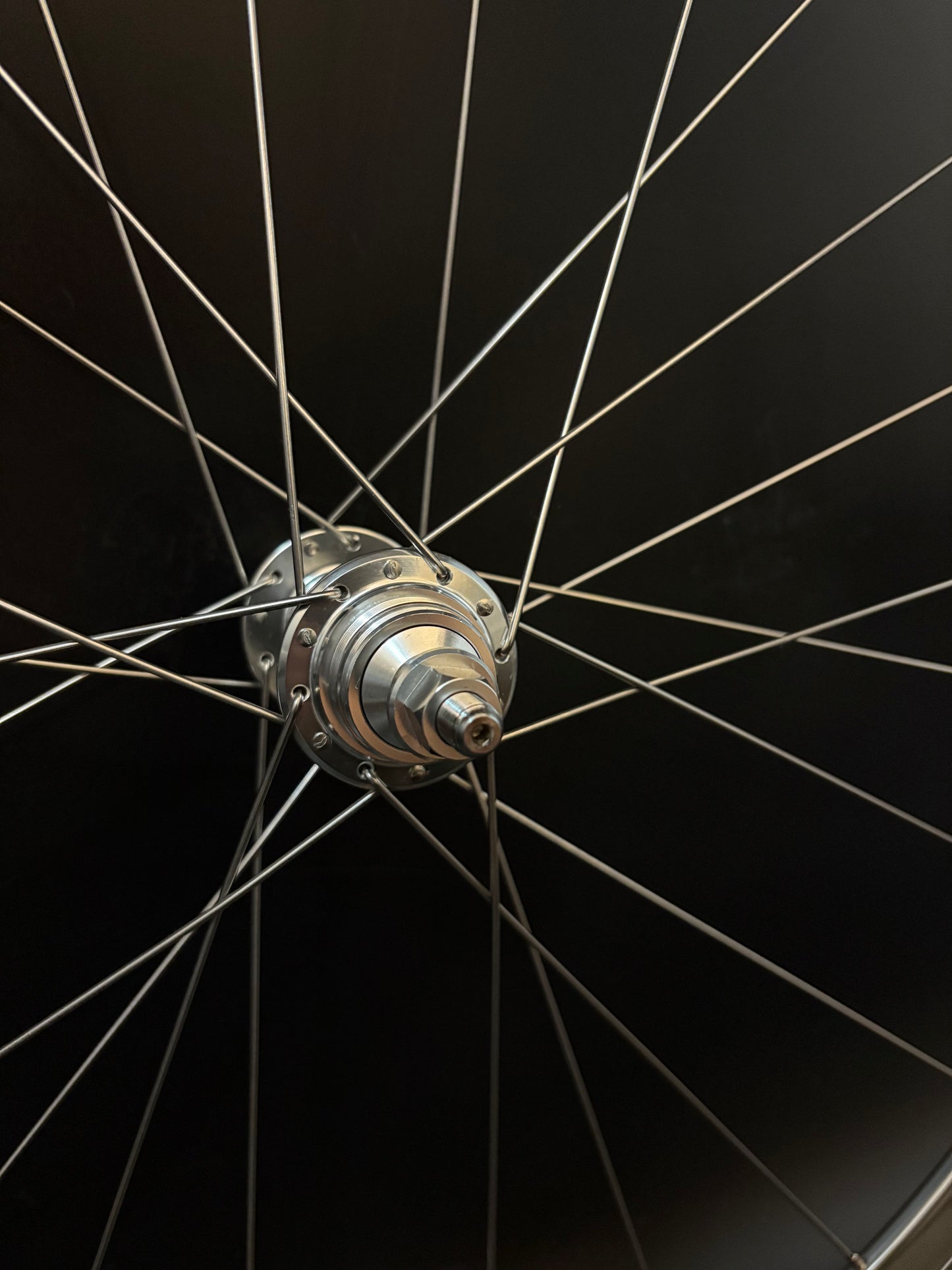 Blue Lug Gran Compe Track Wheelset Silver 20/24h