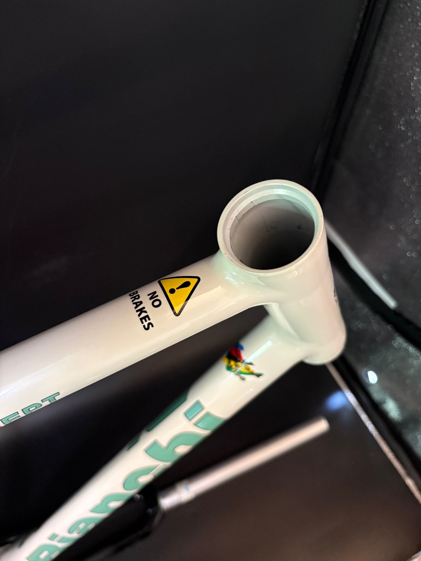 NOS Bianchi Pista Concept 2008 Frameset White 61cm