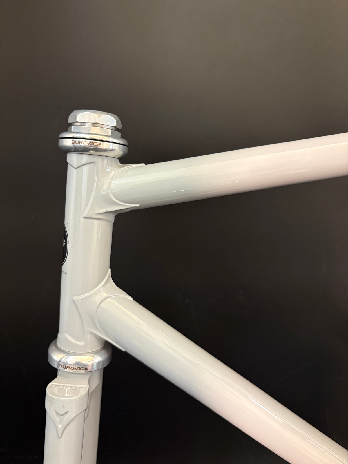 Panasonic NJS Frameset Grey 54cm