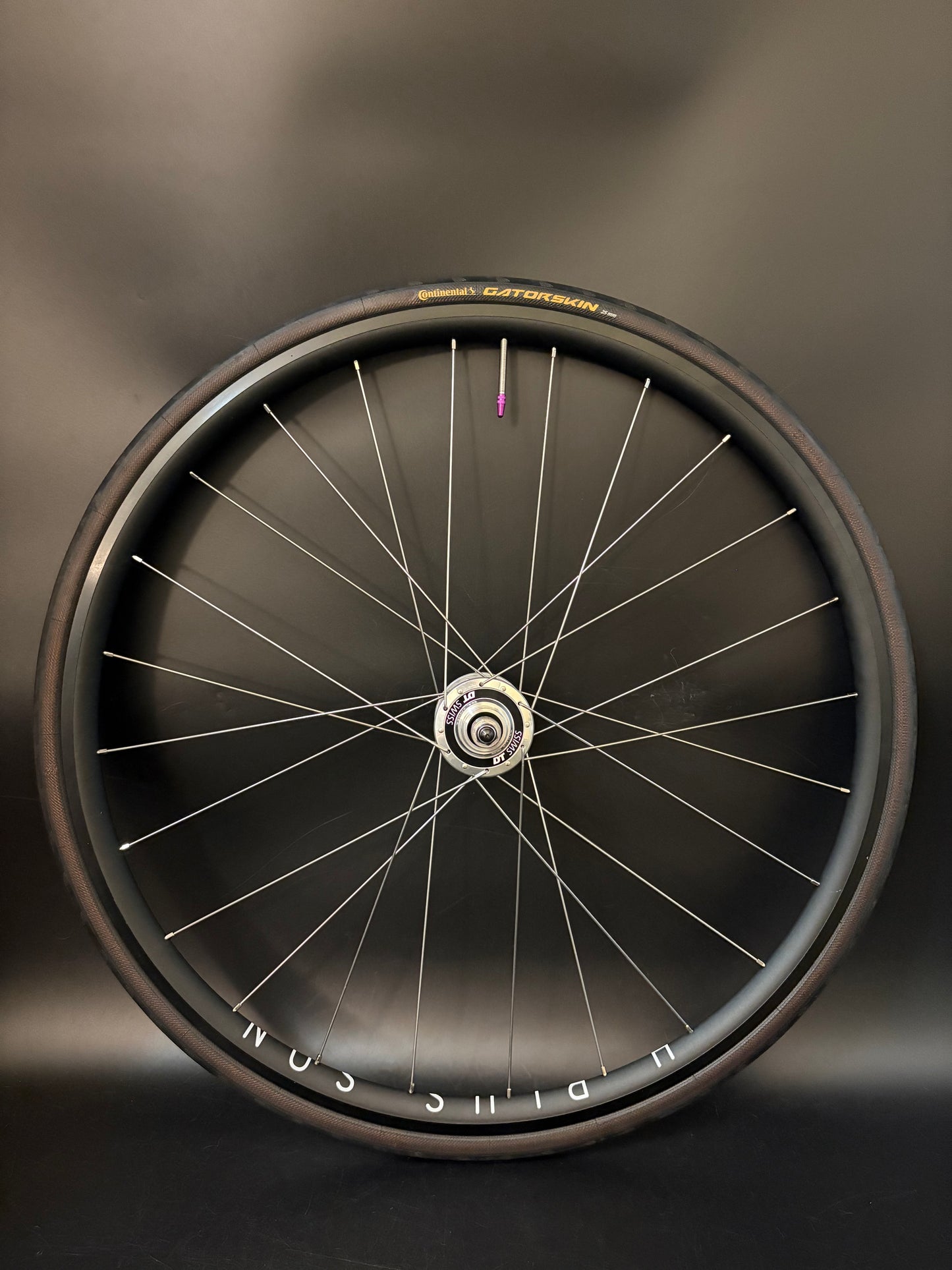 H Plus Son Archetype / DT Swiss Rear Wheel Black 24h