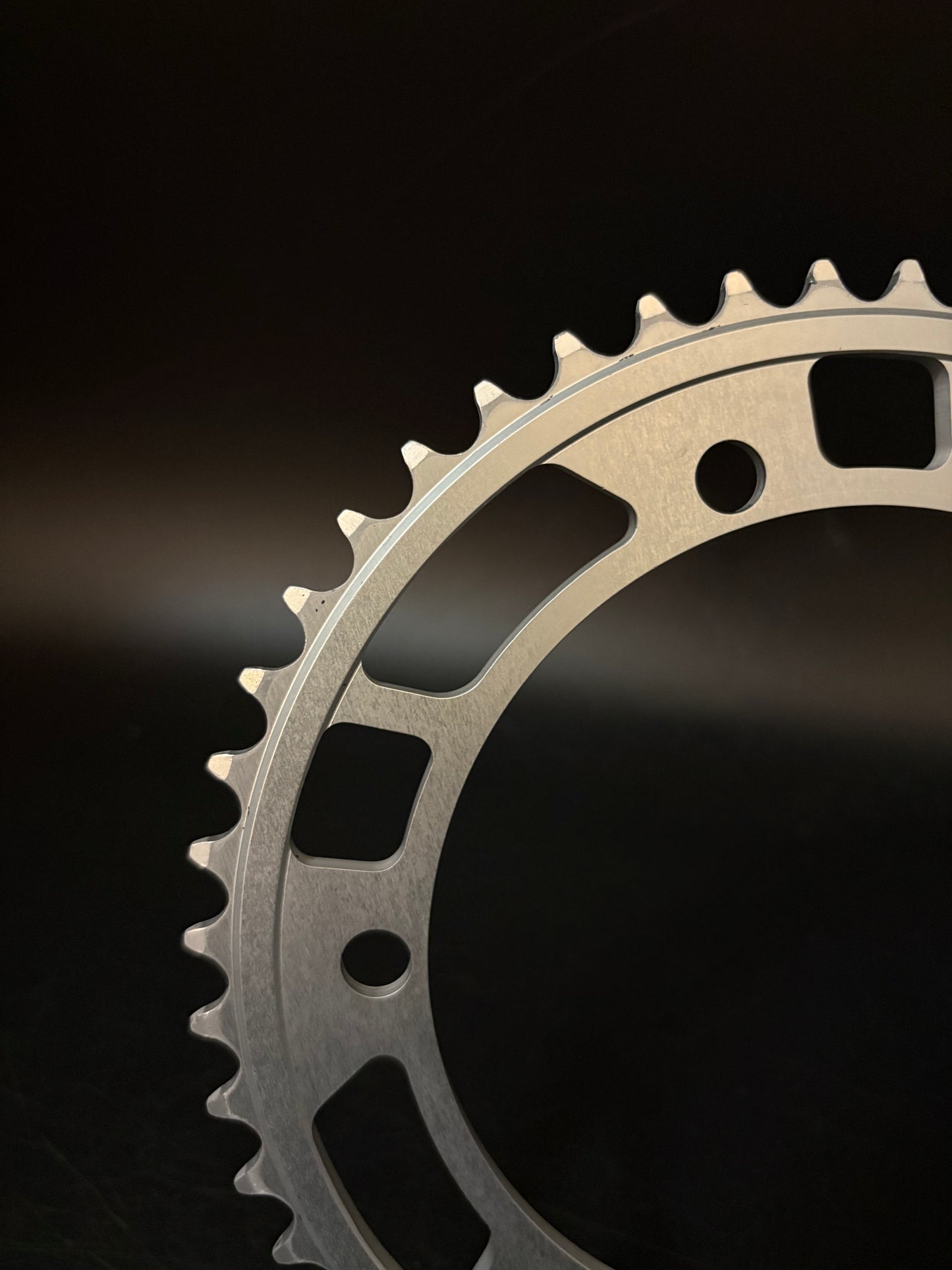 All City Chainring Silver 48t