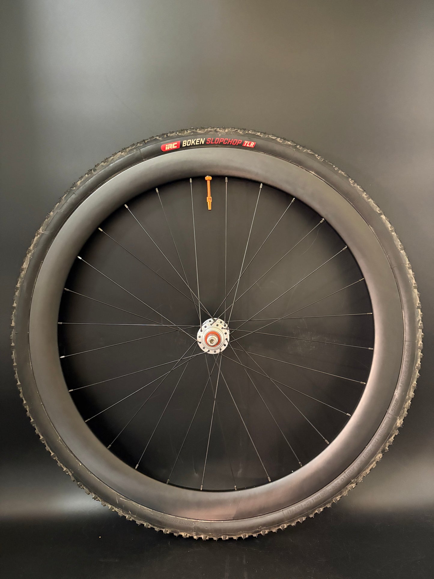 Light Bicycle AR45 Carbon Clincher / Raketa Wheelset 28h