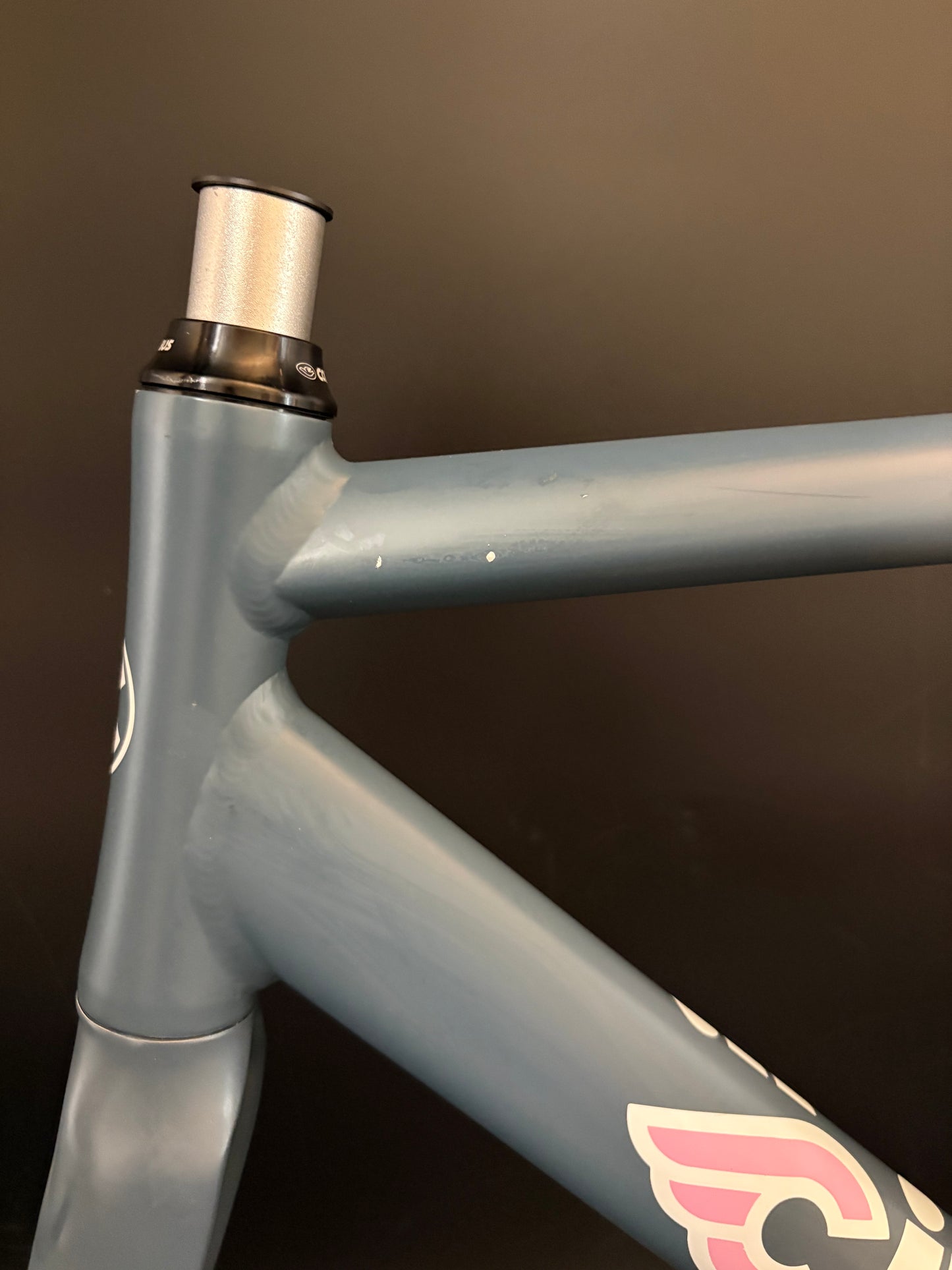 Cinelli Vigorelli Frameset Vigorosa 54cm