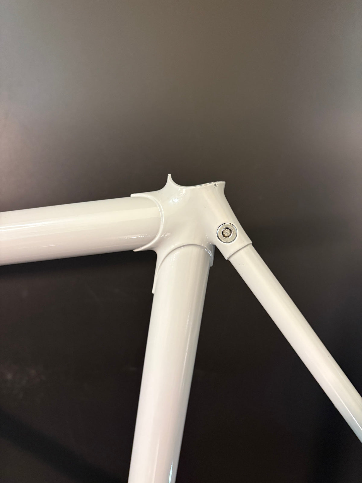 Panasonic NJS Frameset Grey 54cm