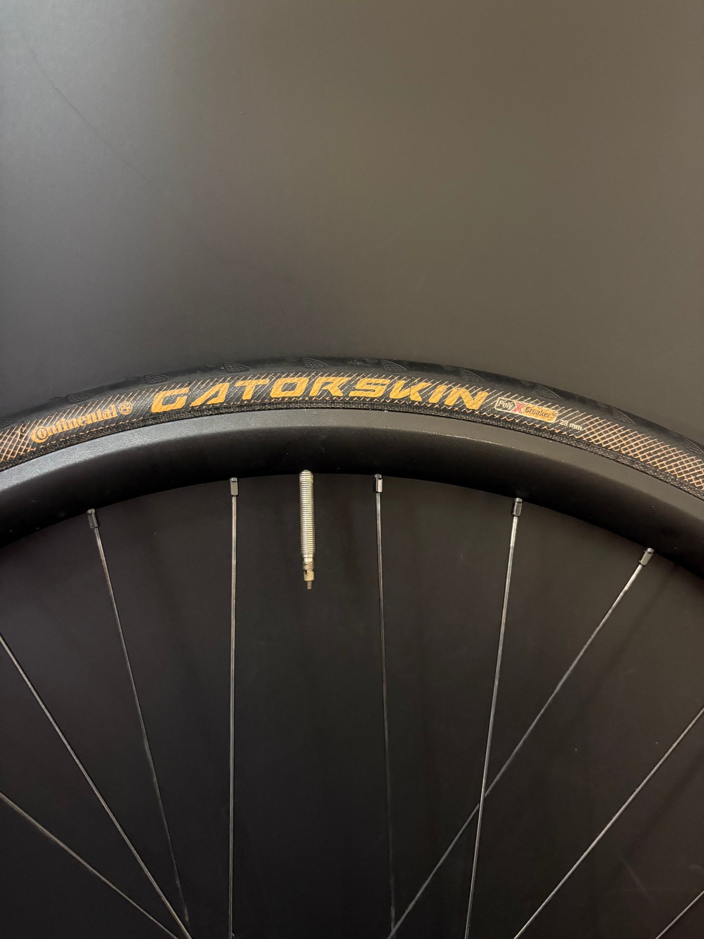 H Plus Son Hydra / Phil Wood HF Wheelset Black 32h #2
