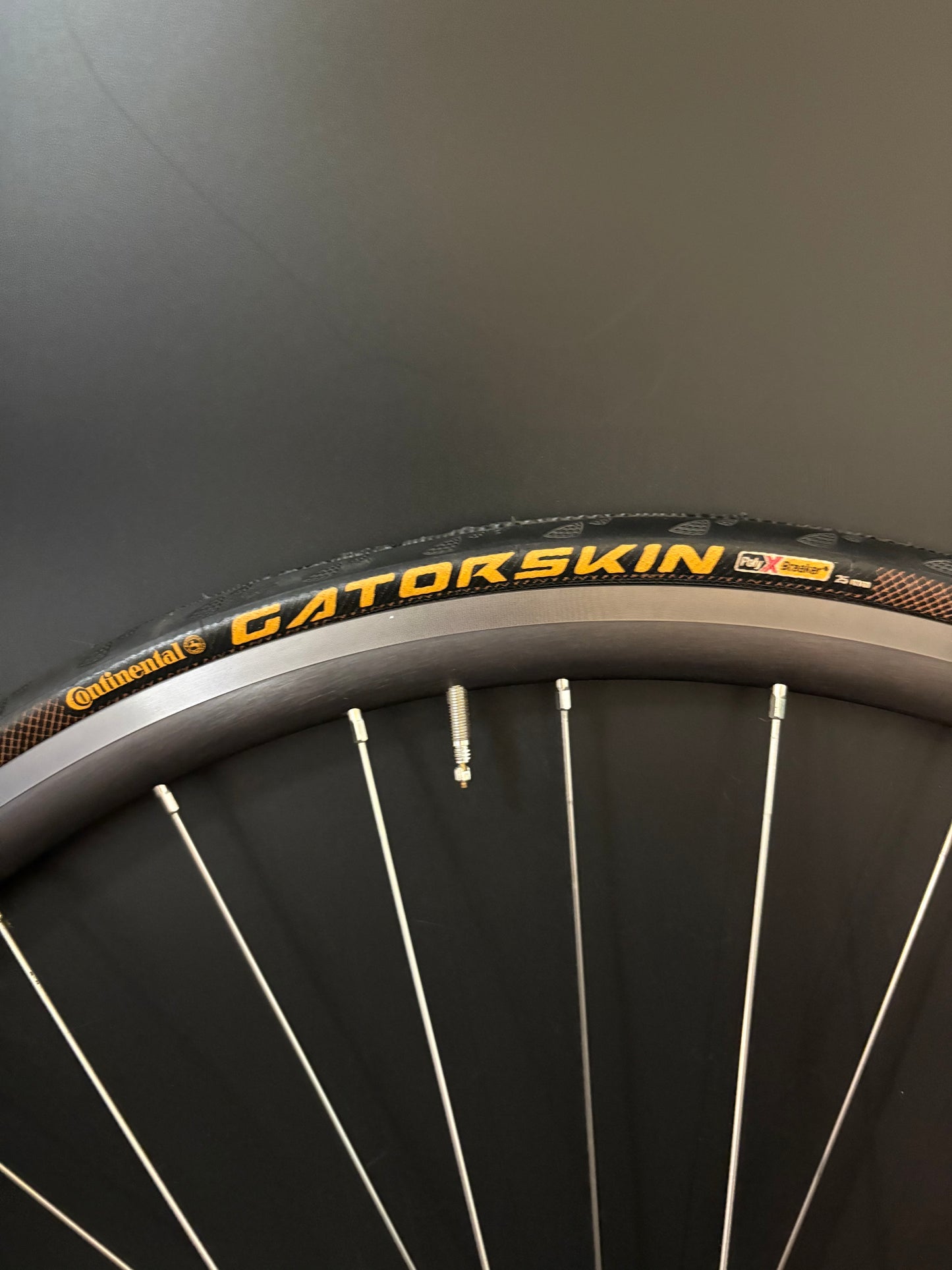 H Plus Son Archetype Grey / Phil Wood HF Blue Wheelset 32h