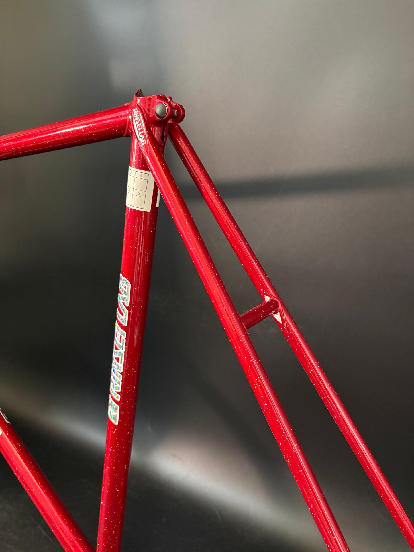 Rinsei Lab NJS Frameset Red 57cm ST 56cm TT