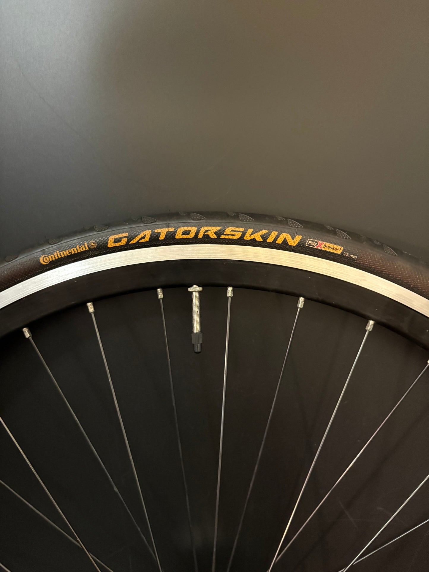 Deep V Machined Black / Surly Wheelset 36h