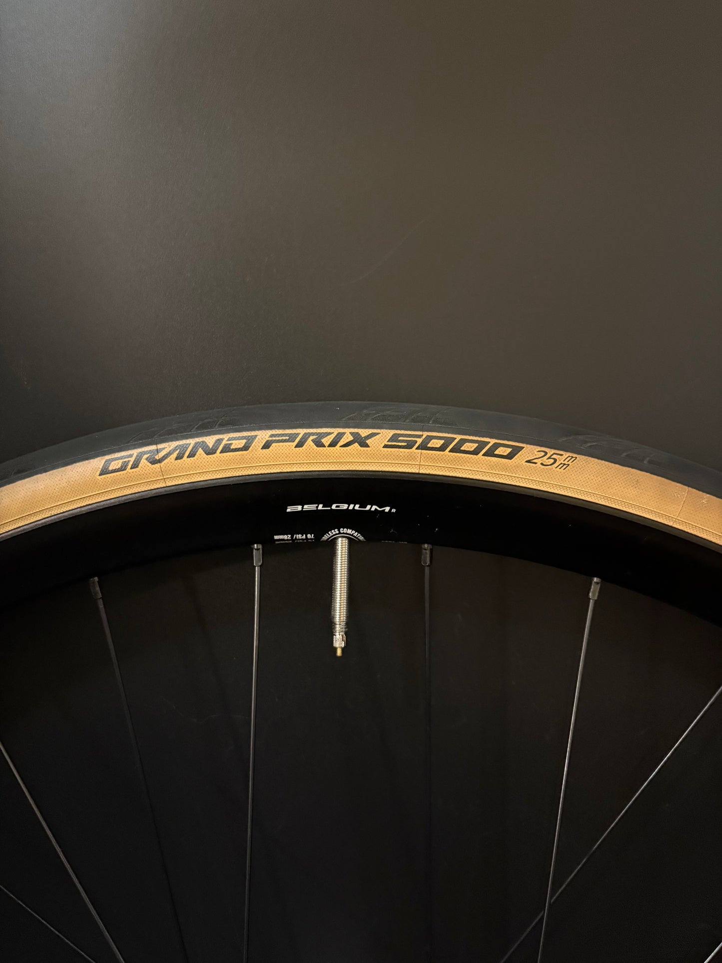 HED Belgium R Black / Phil Wood HF Wheelset 32h