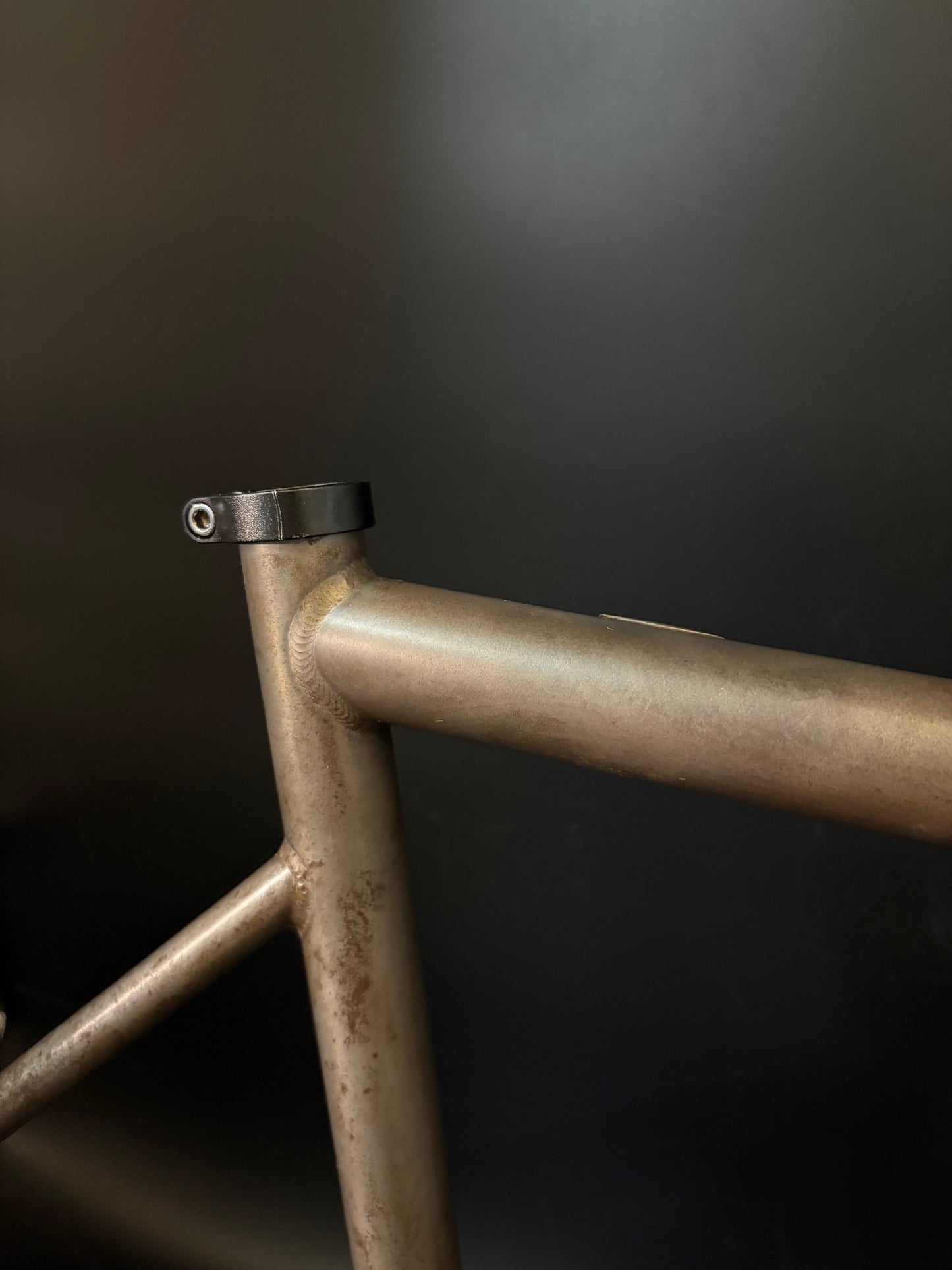 Affinity x Terry B Prototype Frameset Raw M