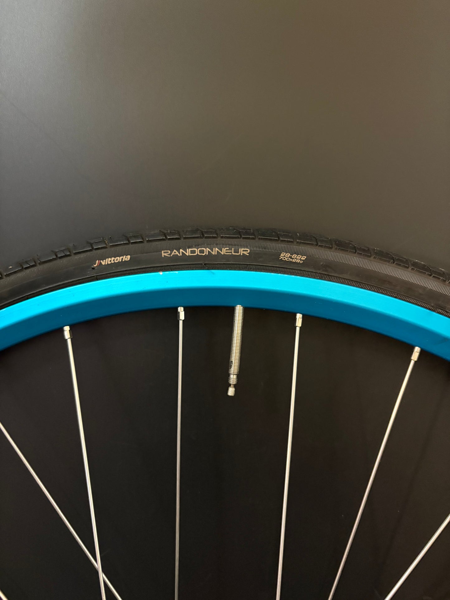 Velocity A23 Turquoise + Pink / Mash SF x Phil Wood Wheelset 28h