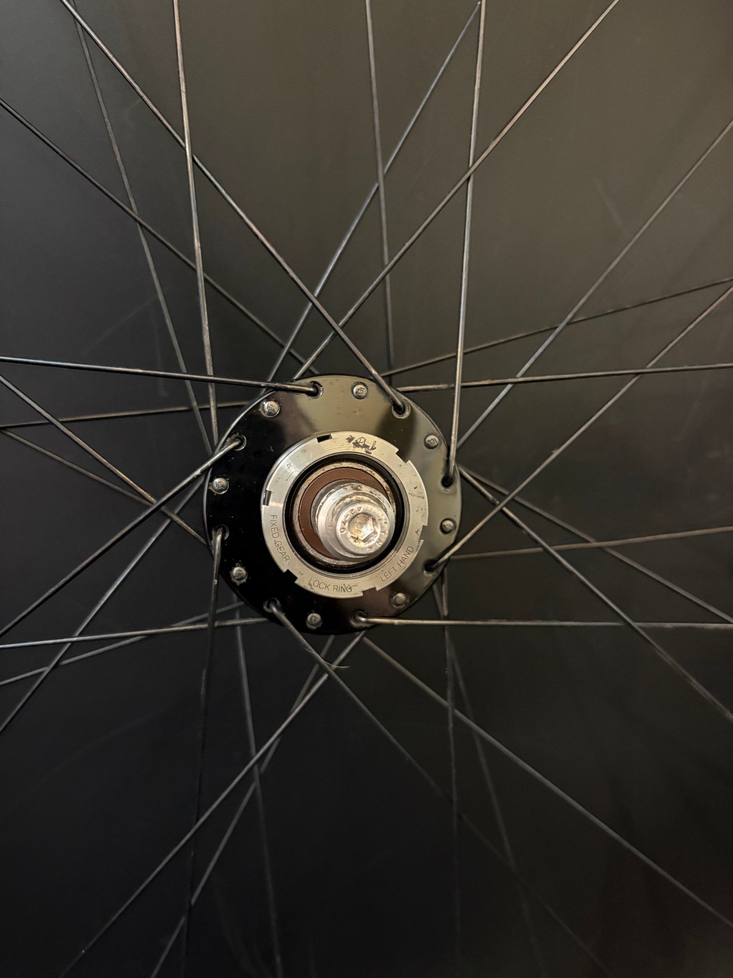 H Plus Son Hydra / Phil Wood HF Wheelset Black 32h #2