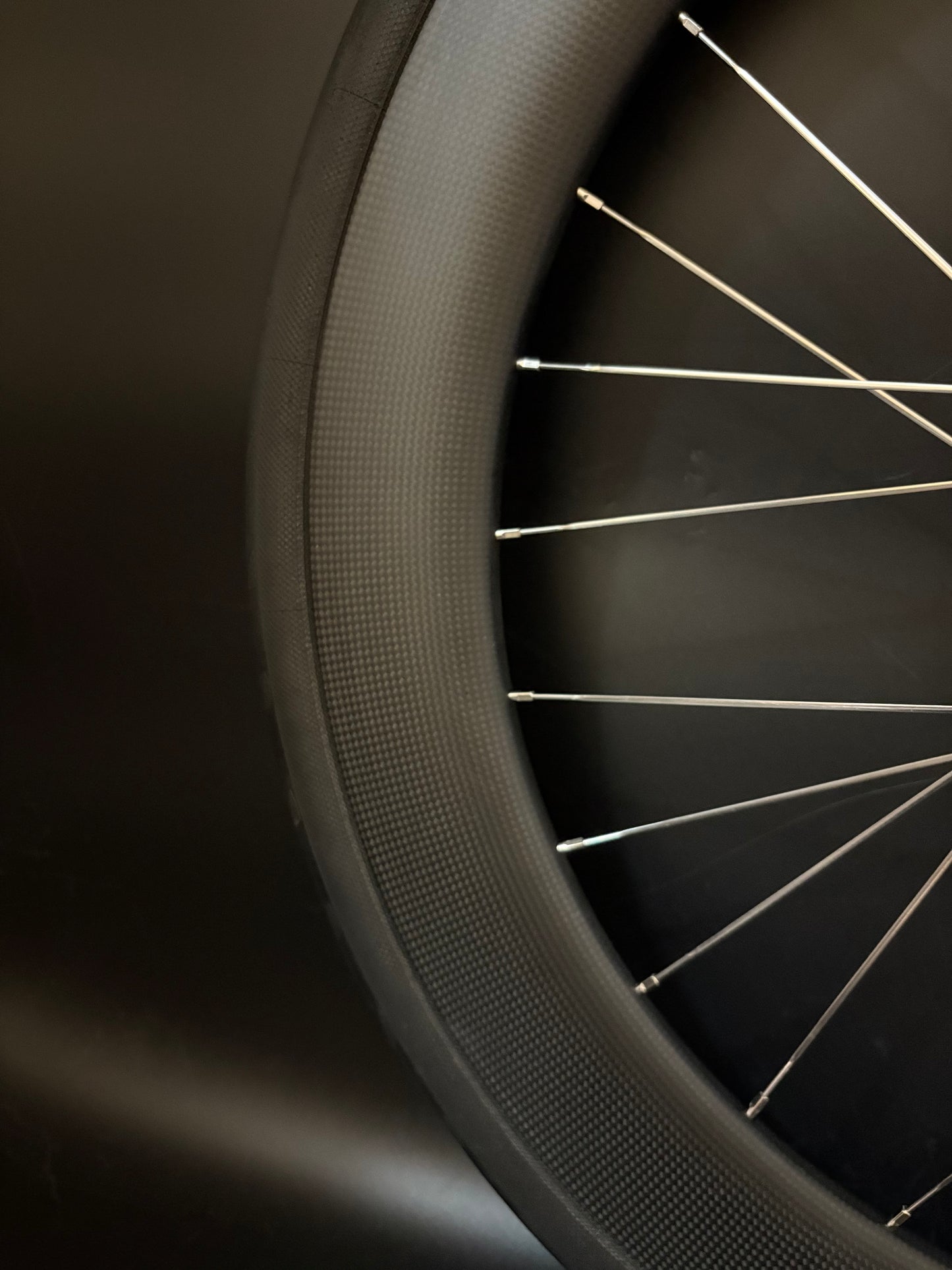 Light Bicycle R55 + R65 Carbon Clincher Rims / Phil Wood Pro HF Silver Wheelset 24/28h