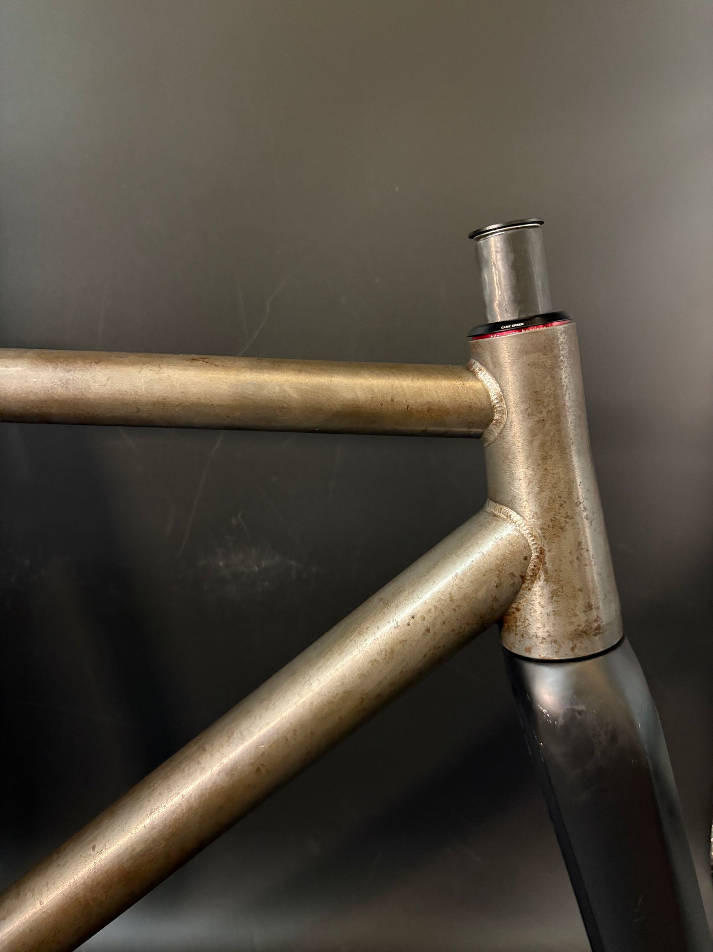 Affinity x Terry B Prototype Frameset Raw M