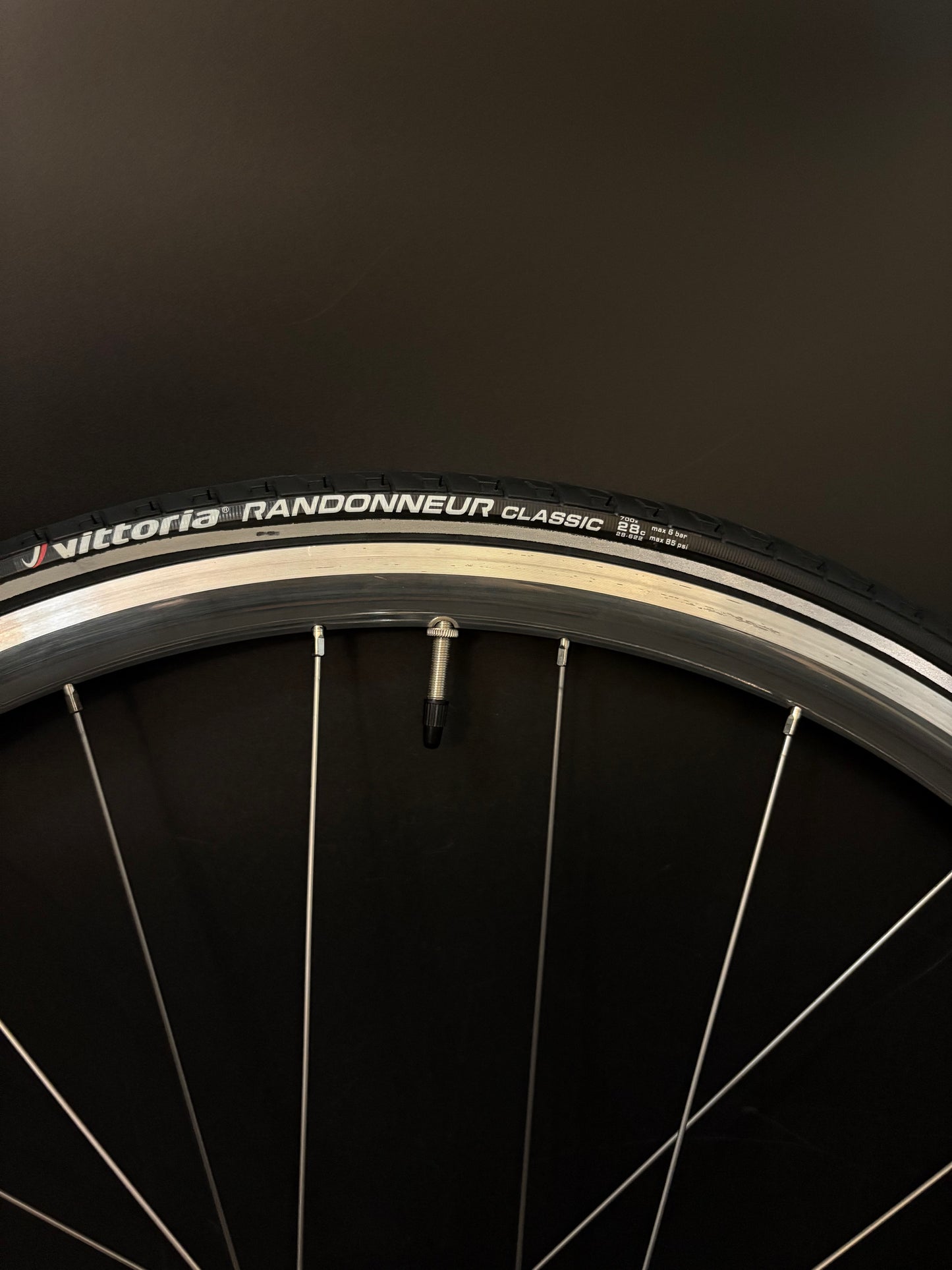 H Plus Son Archetype Silver / DT Swiss Wheelset 20/24h