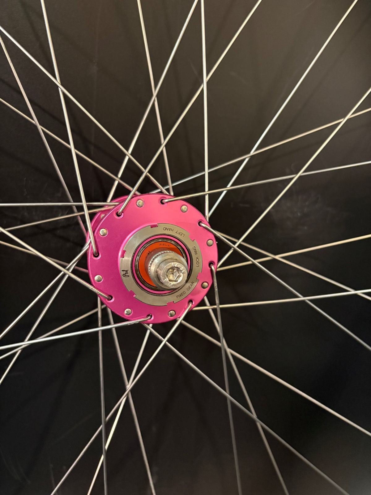 Velocity Deep V Machined White / Phil Wood HF Pink Wheelset 32h