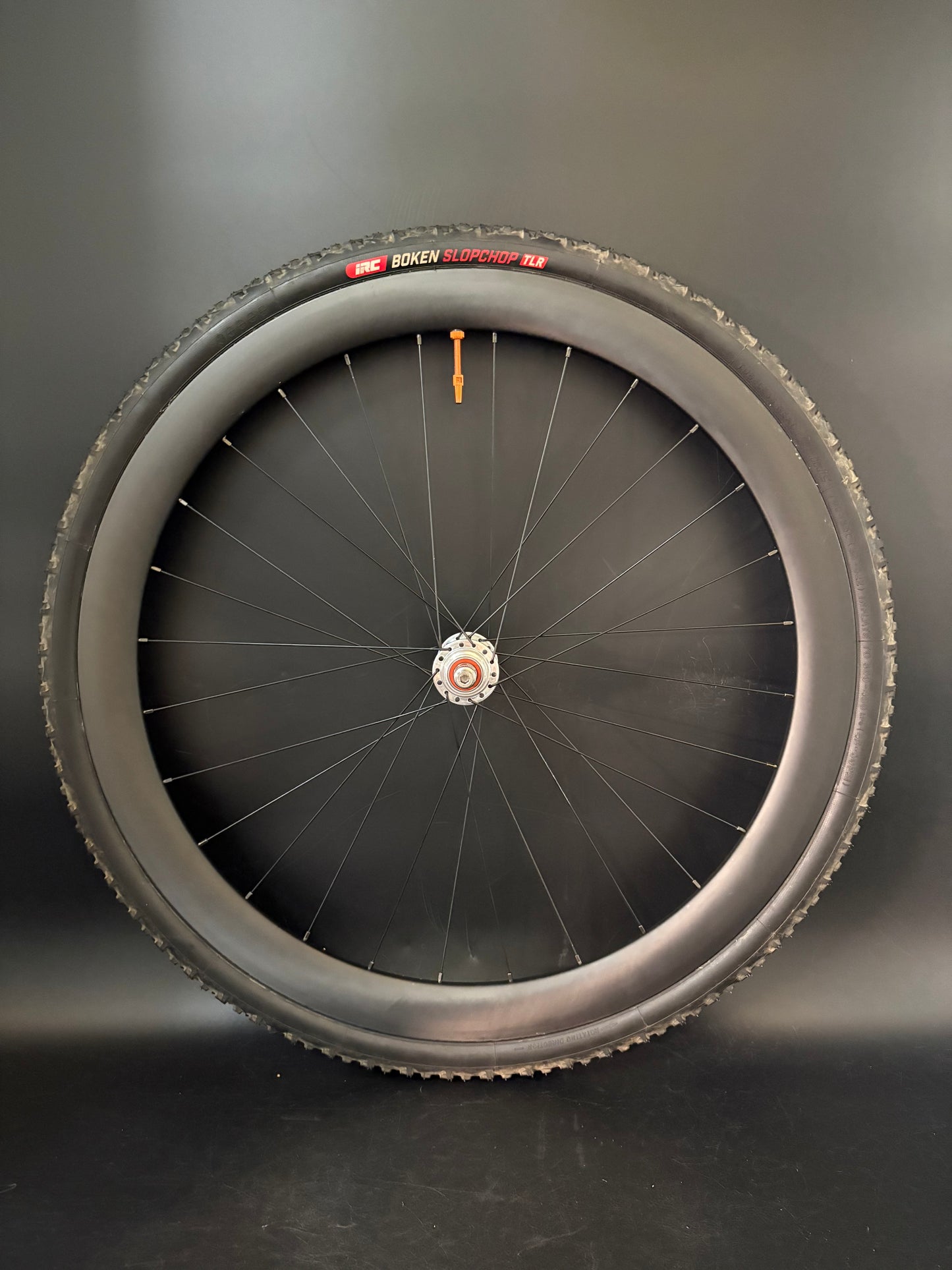 Light Bicycle AR45 Carbon Clincher / Raketa Wheelset 28h
