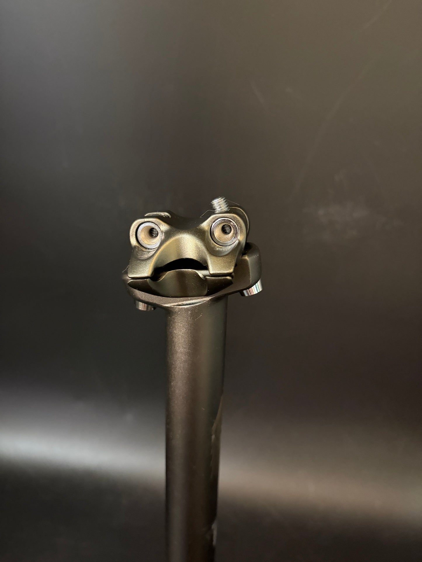 SimWorks Froggy Seatpost Stealth 27.2 300mm