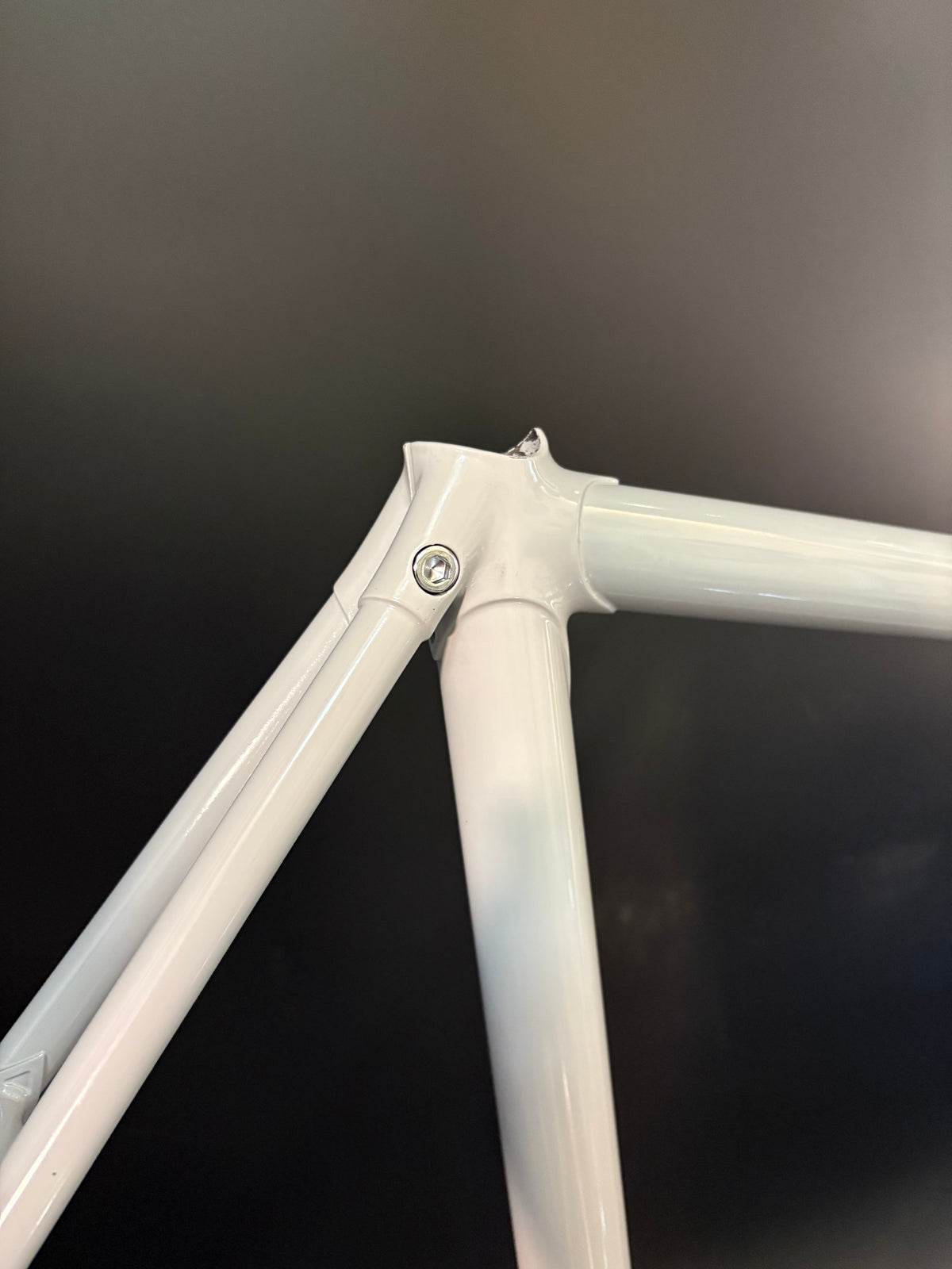 Panasonic NJS Frameset Grey 54cm