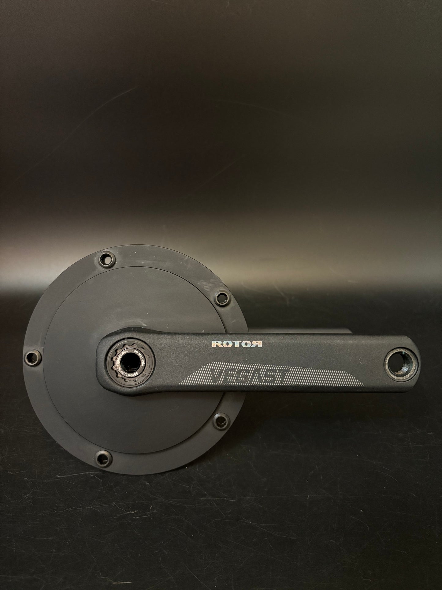 Rotor Vegast Cranks Black 170mm